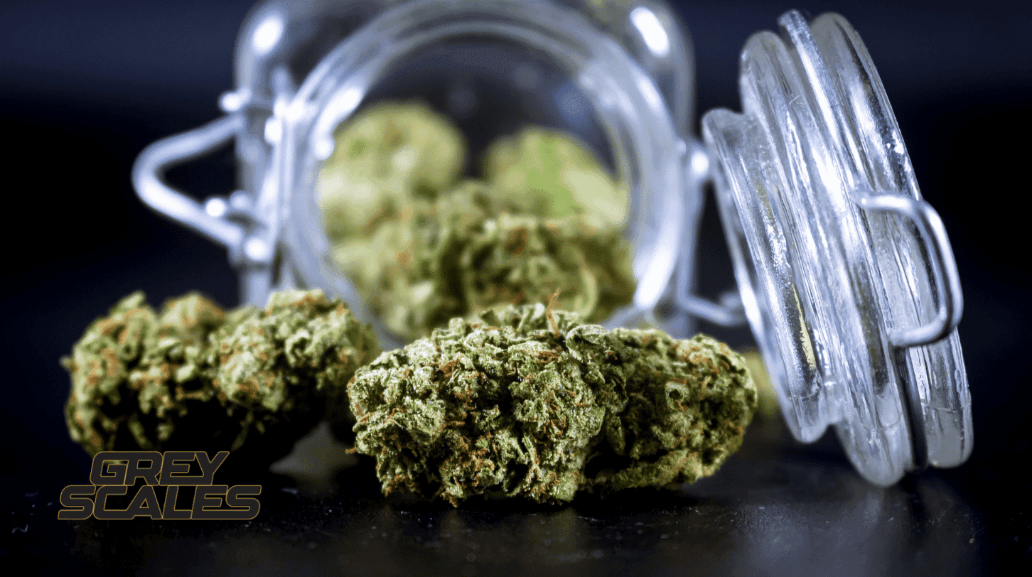 THC or CBD for relaxation: which cannabinoid should you choose?