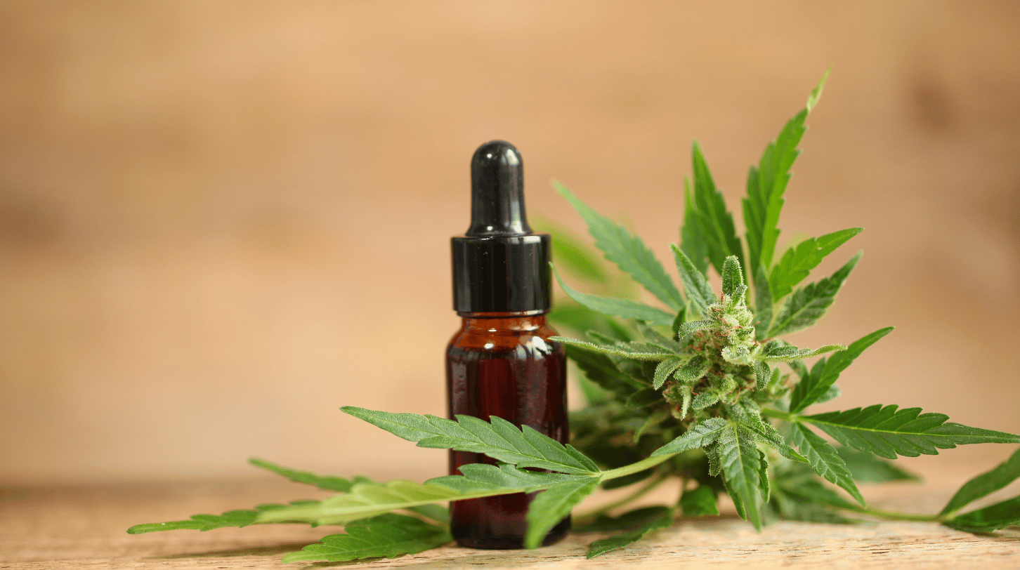 How to take THC oil : a complete guide for Canadian patients
