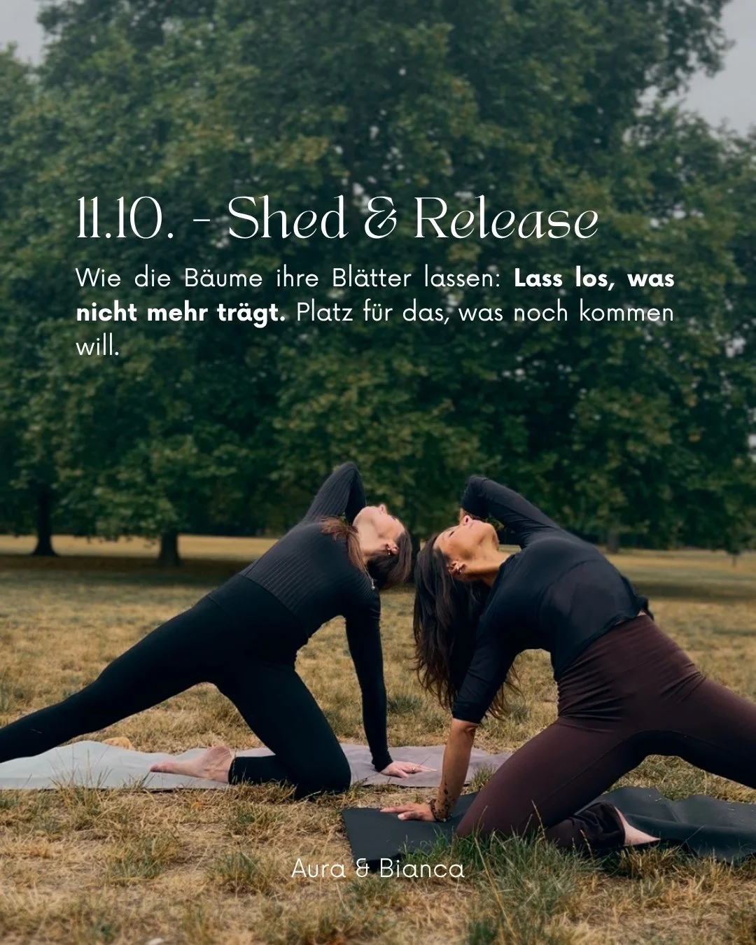 The Art of Returning pt. II/III • Shed &amp; Release