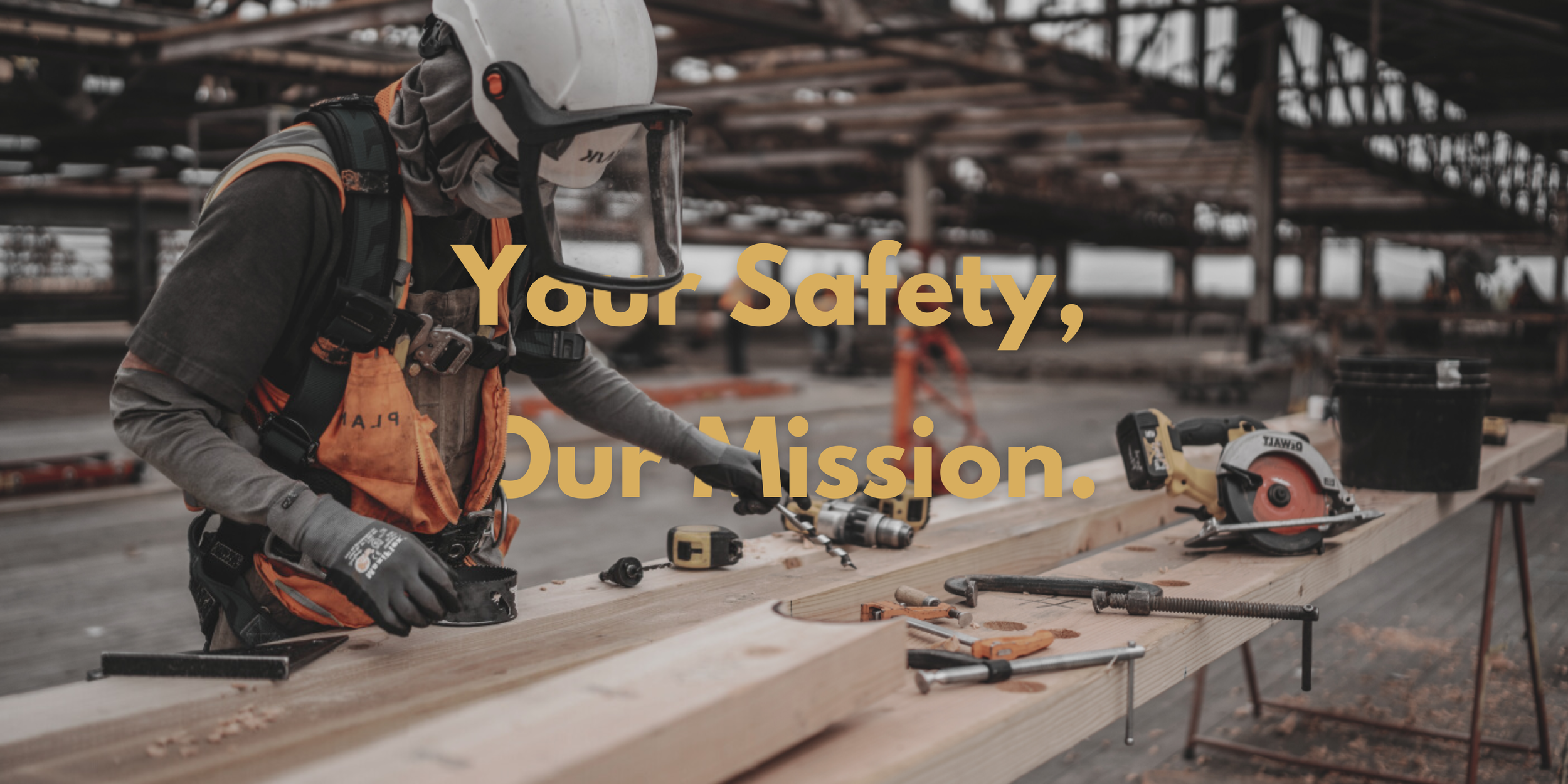 www.safetyx.com