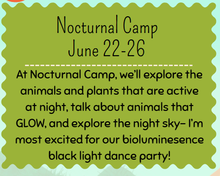 Nocturnal Camp- 2 Campers