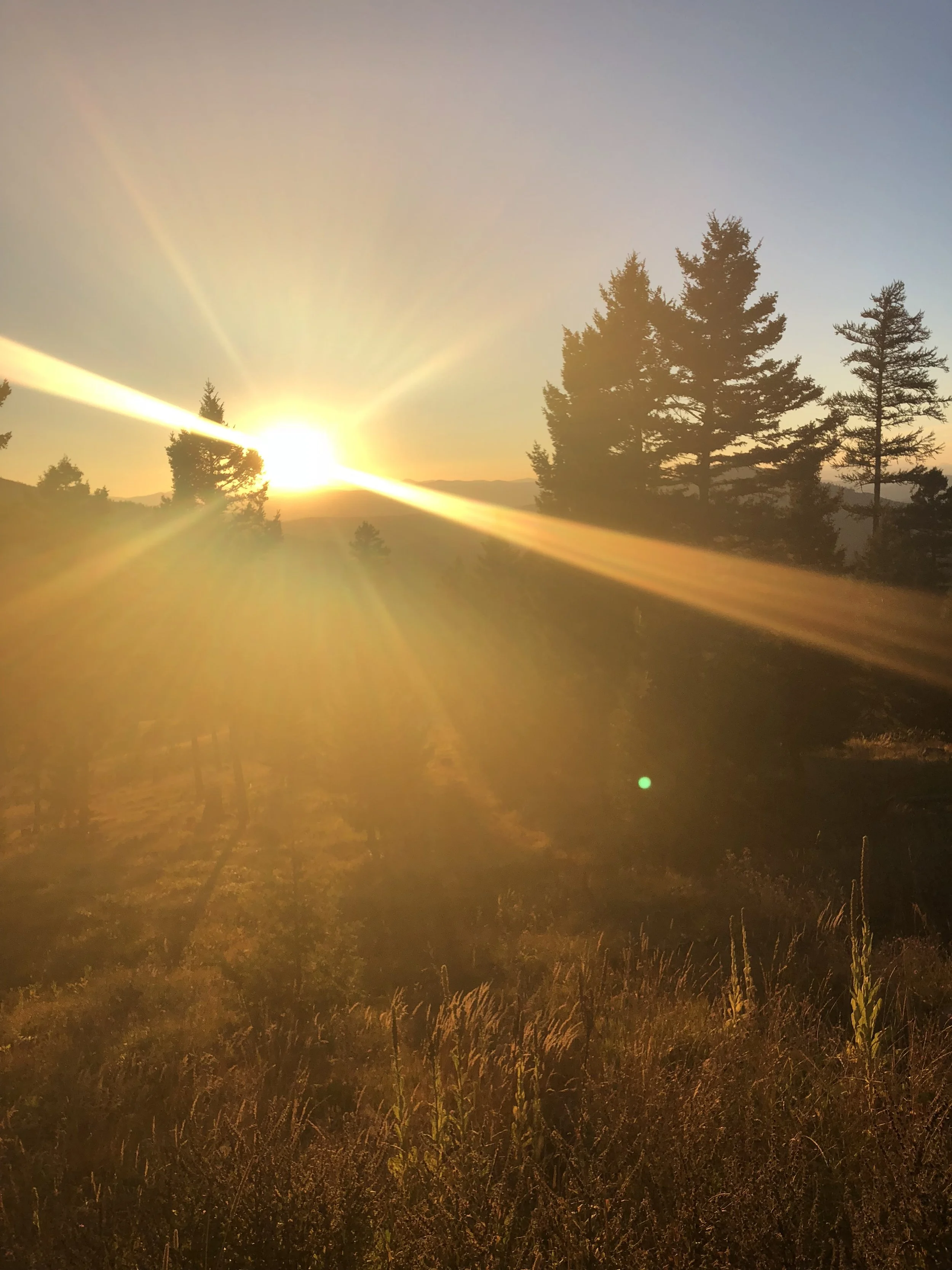 Equinox Evening Solstice