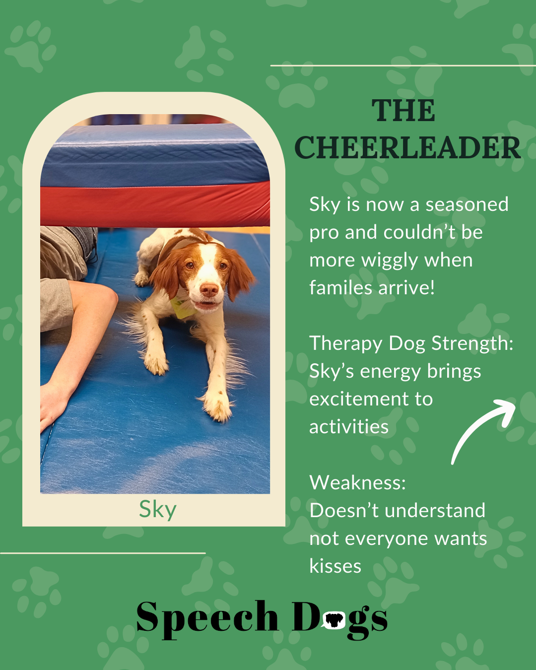 Pet therapy dog Sky.