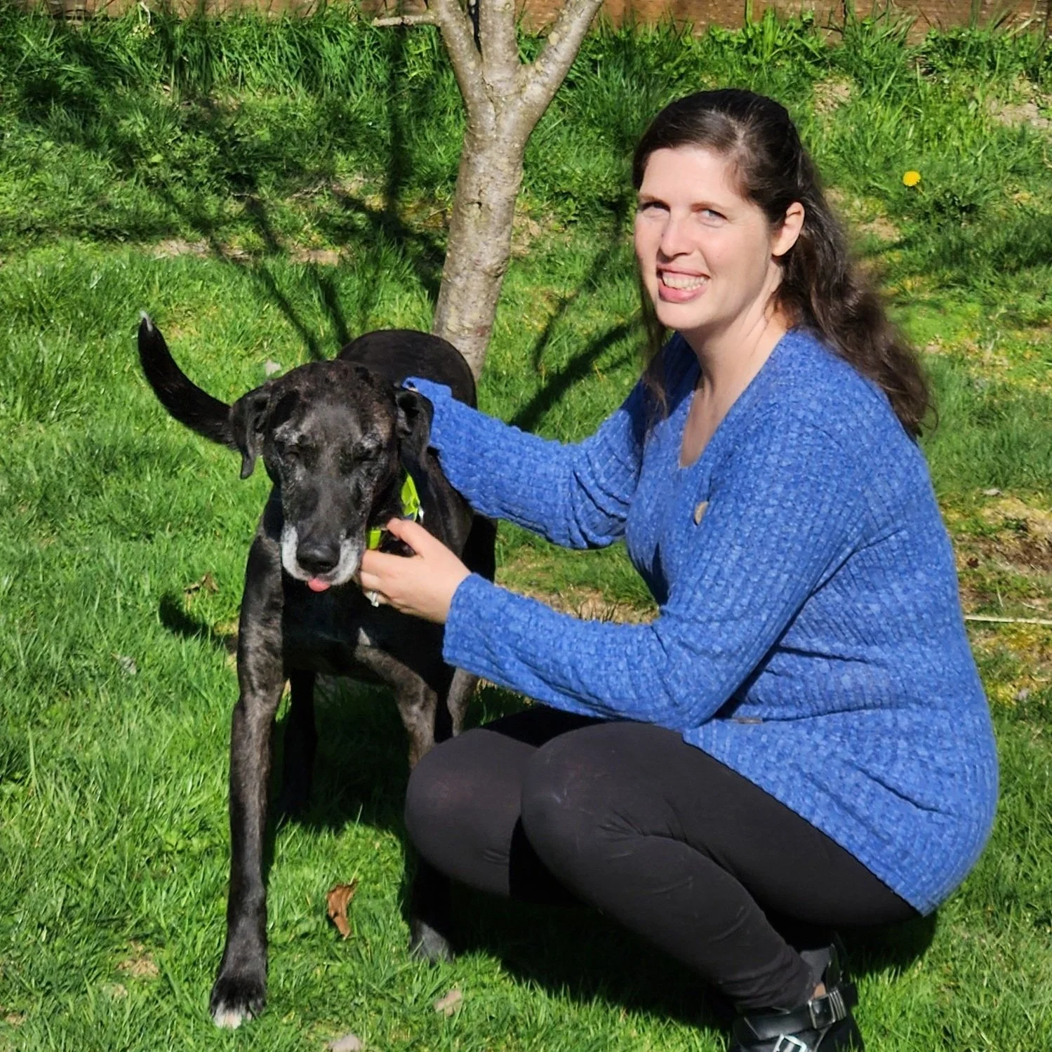 The Power of the Human-Animal Bond:  How a Speech Therapy Dog Can Help Enable a Calm, Learning State of Mind