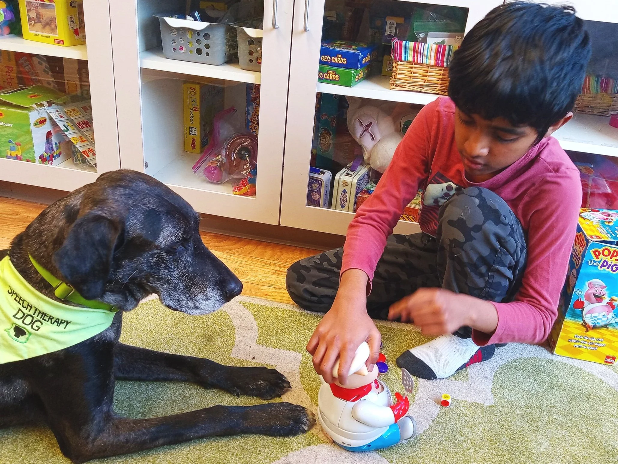 More or Less:&nbsp;How a Speech Therapy Dog’s Role May Change Over Time