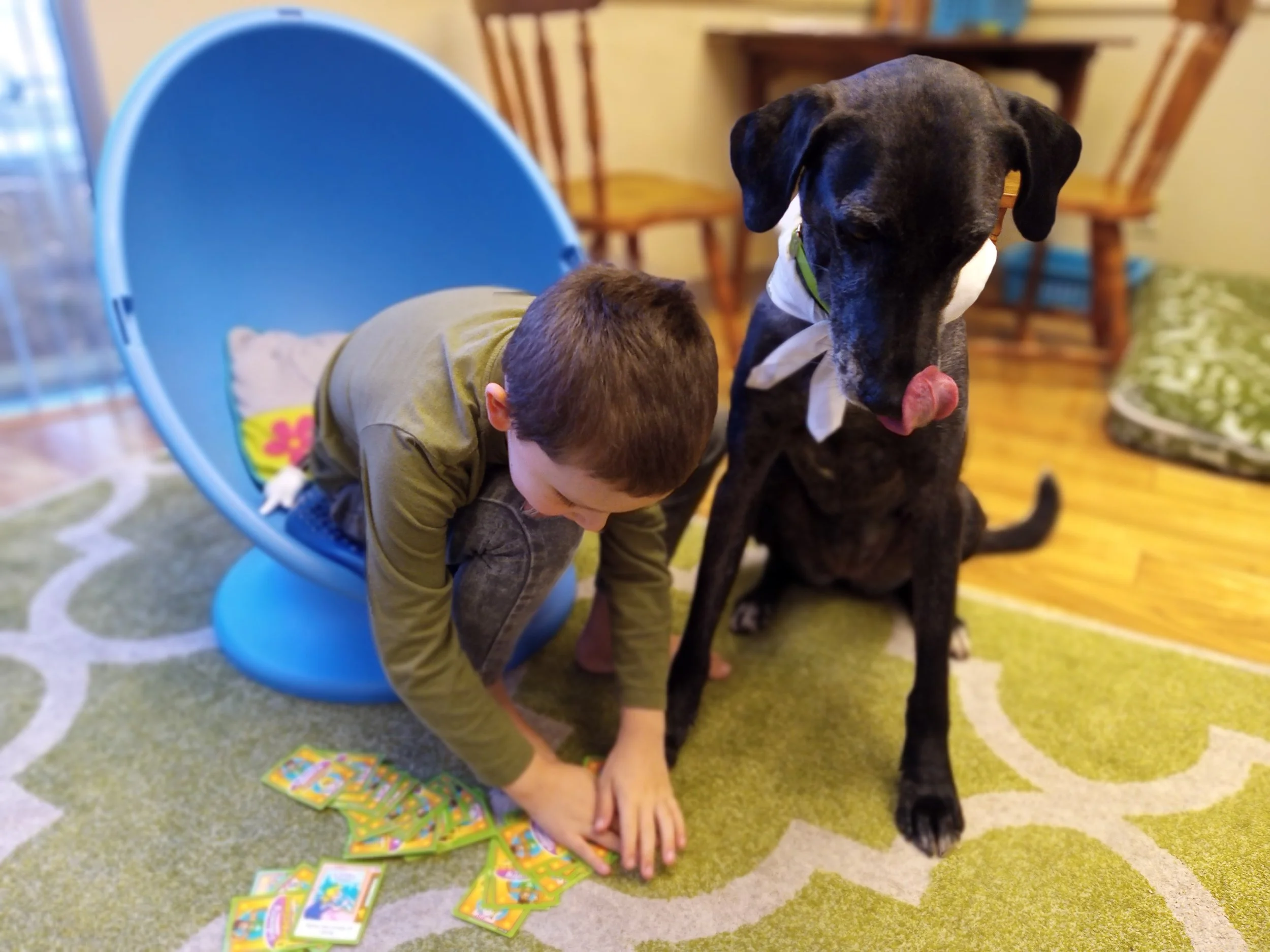 Discovering Surprising Insights: Four Things I Learned Recording Animal-Assisted Speech Therapy Sessions
