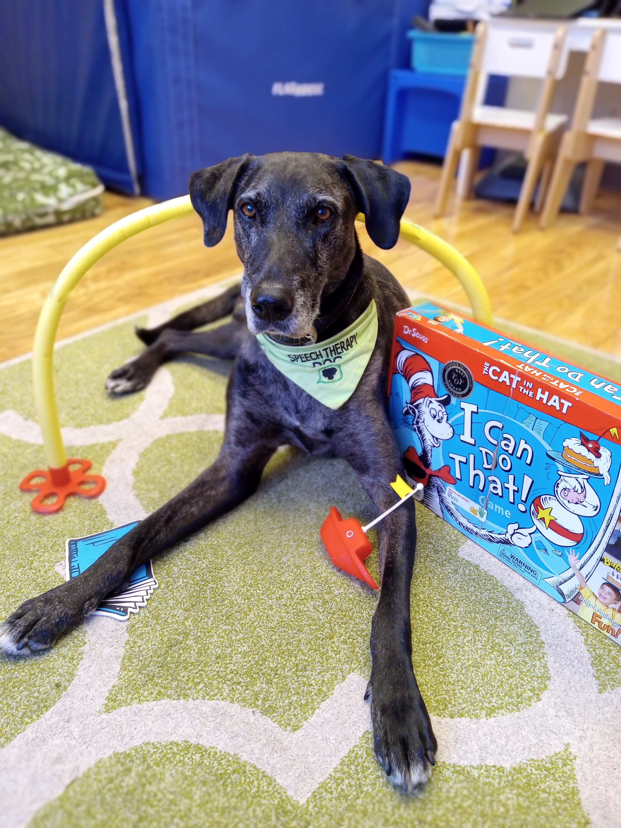 How Working with a Speech Therapy Dog Makes My Job Harder…And Why I Love That!