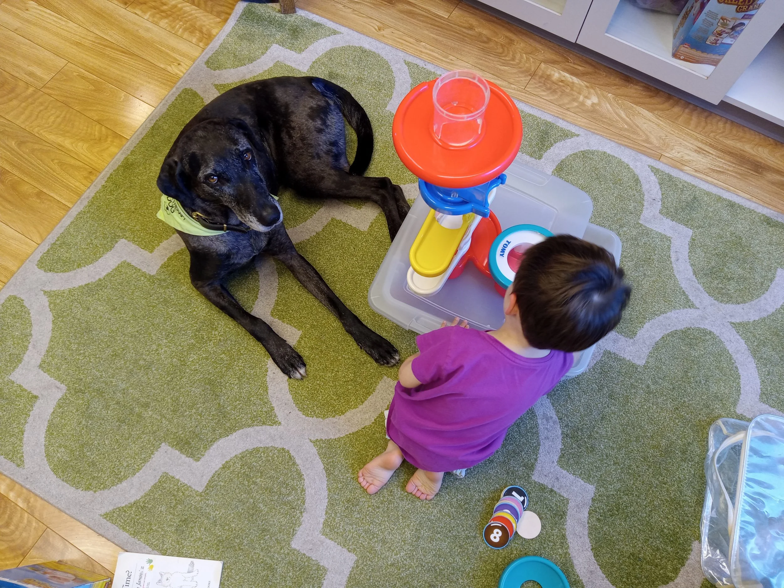 “Un-Slumping” with a Team: Lessons from Dr. Seuss for Speech Therapy Dog Partnerships