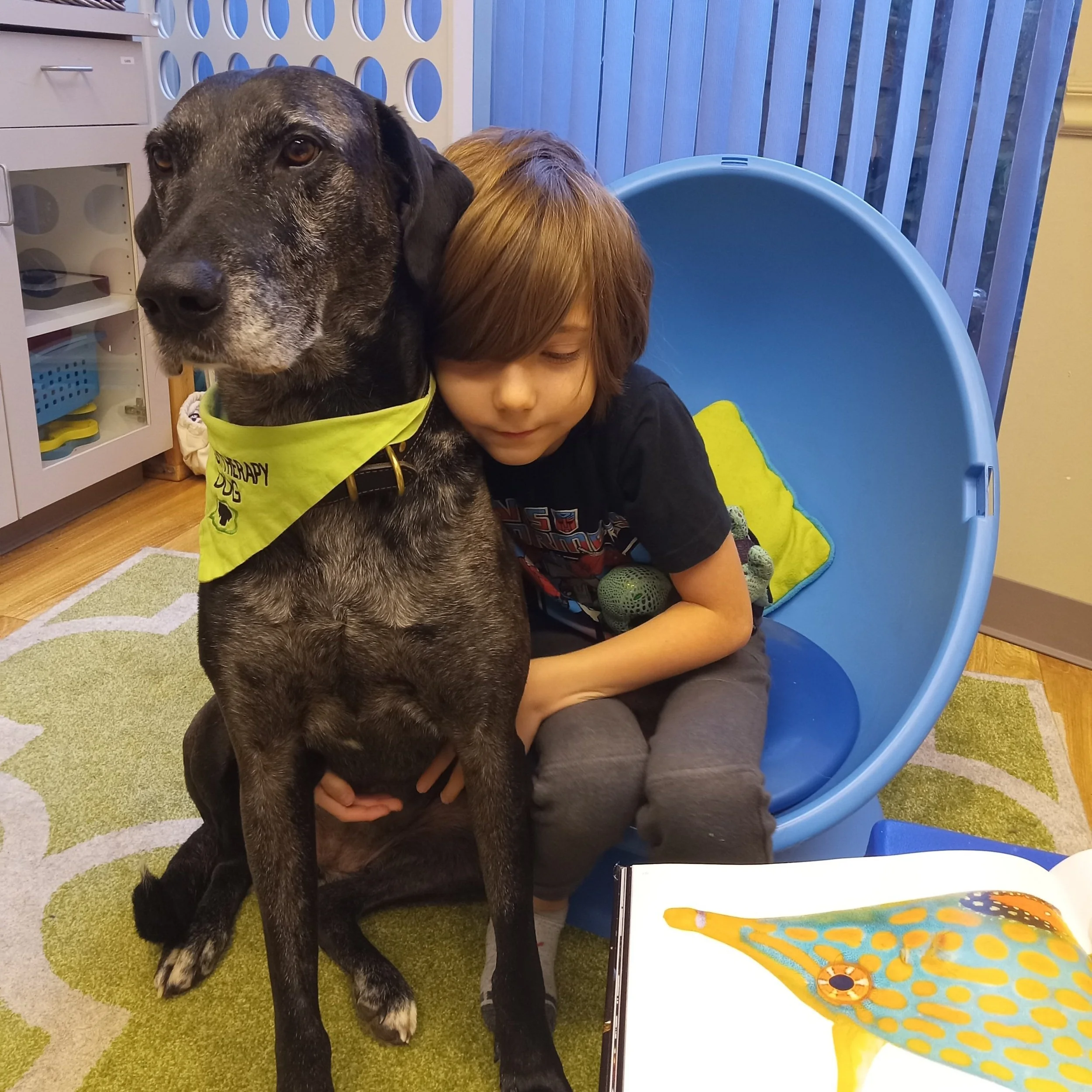 Have You “Prehabbed” Objections?&nbsp; Preparing for a Future of Animal-Assisted Speech Therapy