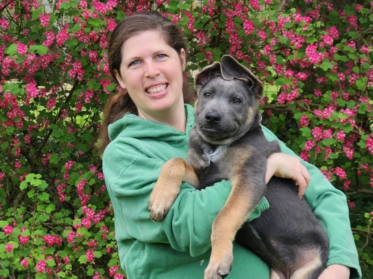 Puppy Love and Selecting a New Speech Therapy Dog:  Zephyr’s Story