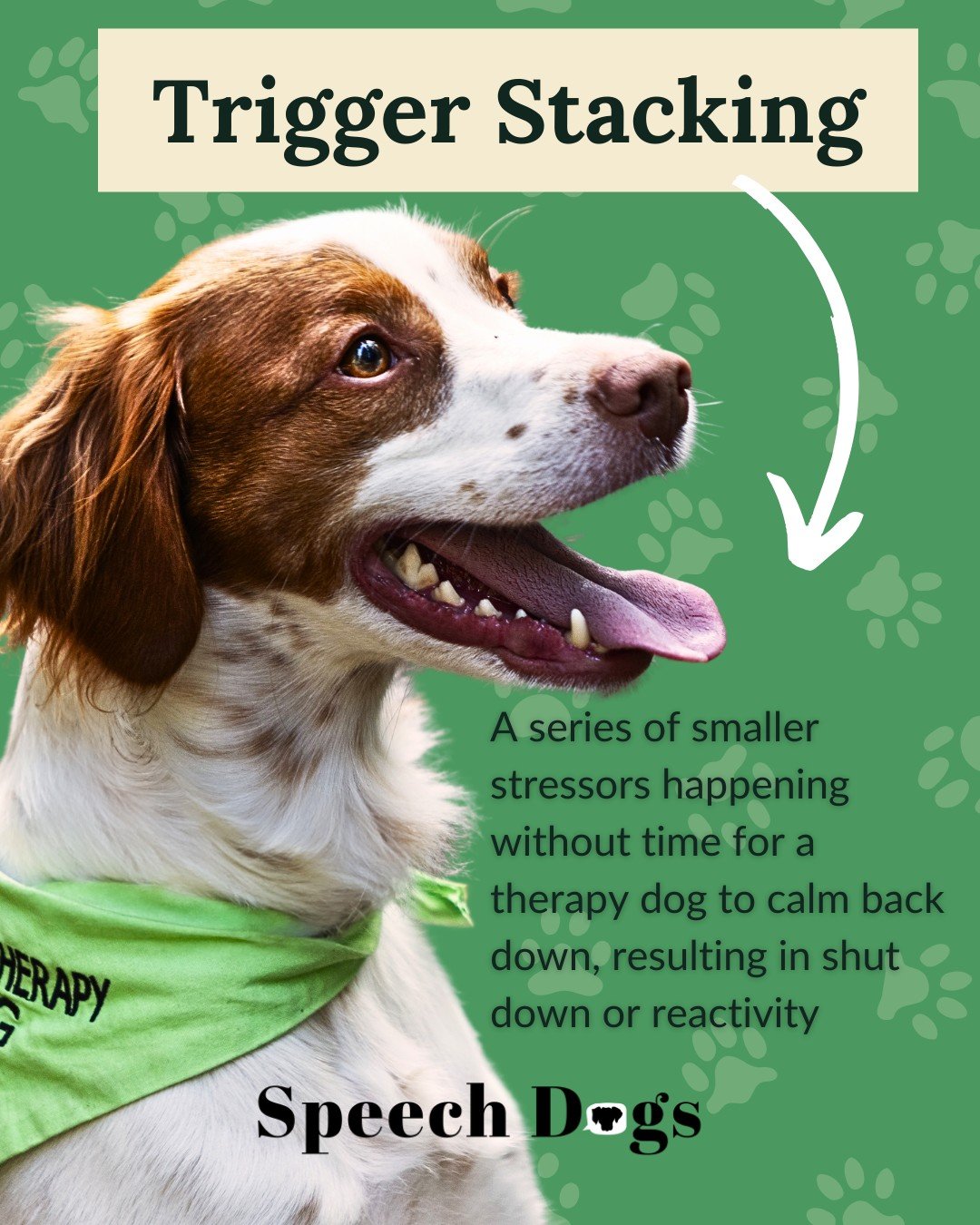 Here's a concept I really wish I had known before partnering with therapy dogs to provide animal-assisted speech therapy. 🐕&zwj;🦺 While most sessions are mutually enjoyable for all involved, sometimes things don't go as desired.

Given the inherent