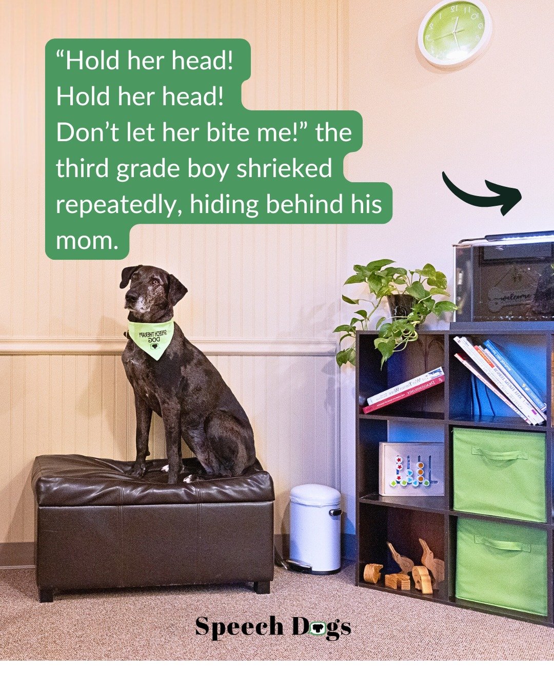 I suspect many people envision a therapy dog just lying on the office floor, but since my dogs are more energetic (and in Delta&rsquo;s case, large), I need to make sure they know that if they become my client they will be actually interacting with d