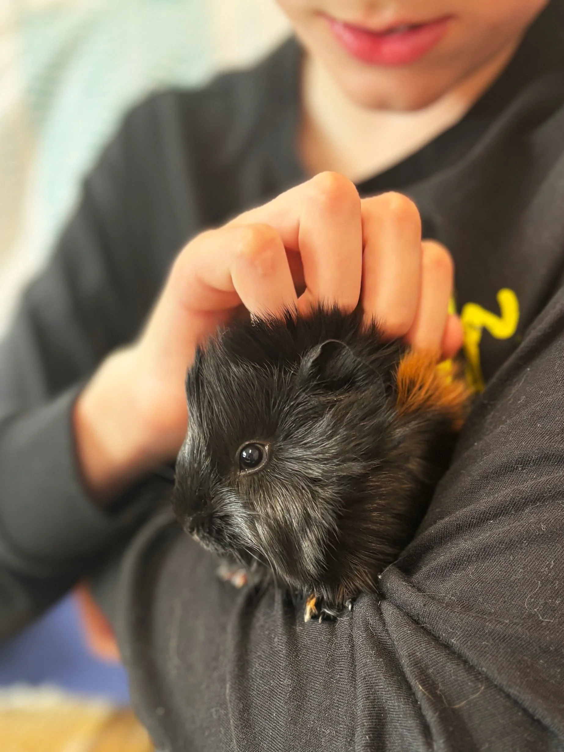 Healing Hooves and Soothing Whiskers: The Power of Animal-Assisted Therapy with Species Large and Small (part 2)