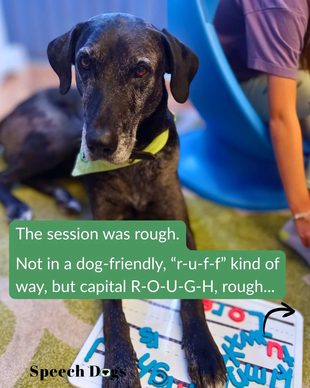 🐕‍🦺For this animal-loving young man, incorporating the therapy dogs has been the biggest game-changer for our work together and usually the most powerful regulating approach I have. 
So how could I capitalize on his love for dogs in general an