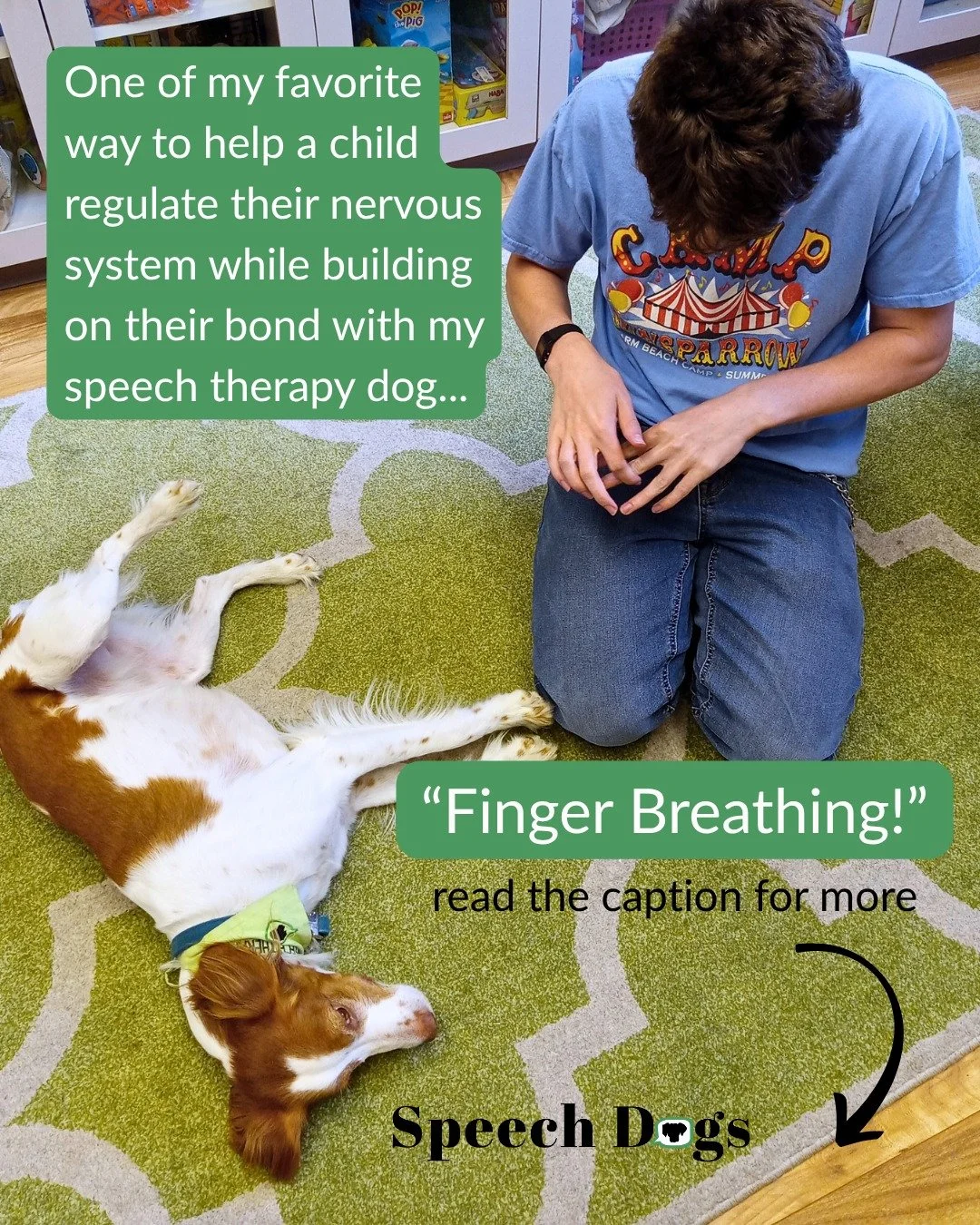 During a recent session that was not going as planned, I pulled out one of my favorite techniques to help kids get out of fight or flight mode. 🐕‍🦺 
At the moment Delta (Sky shown picture) had to stay on her bed because I couldn't be sure the