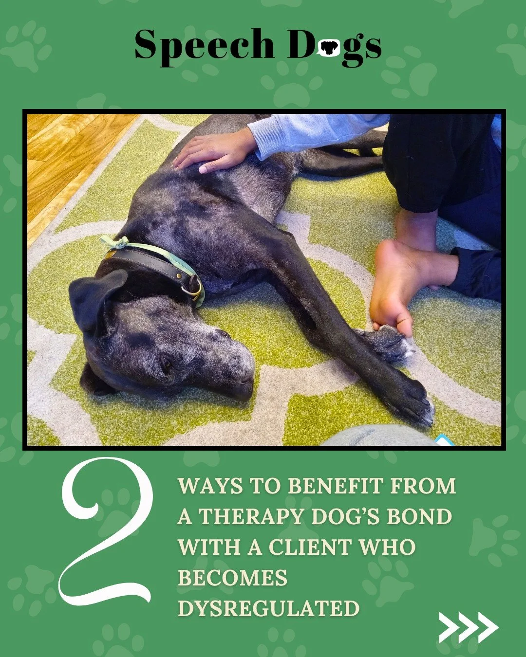 Link in bio for the Puppy Wiggles and Children's Giggles articles!
 #animalassistedtherapy #speechtherapyforkids #animalassistedinterventions #animalassistededucation #speechtherapydog #canineassistedtherapy #pettherapyisthebesttherapy #animalassist