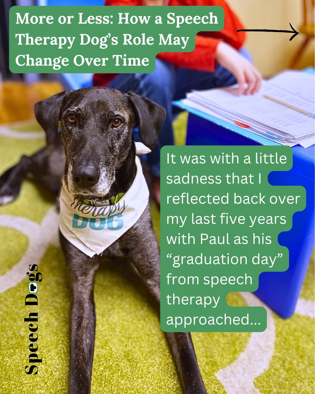Some clients will change how much and when they interact with your dog over time...and that's ok! 

Sometimes it's a sign they are transitioning the therapeutic bond they share with your dog to you.  Other times they are initially be too anxious or d