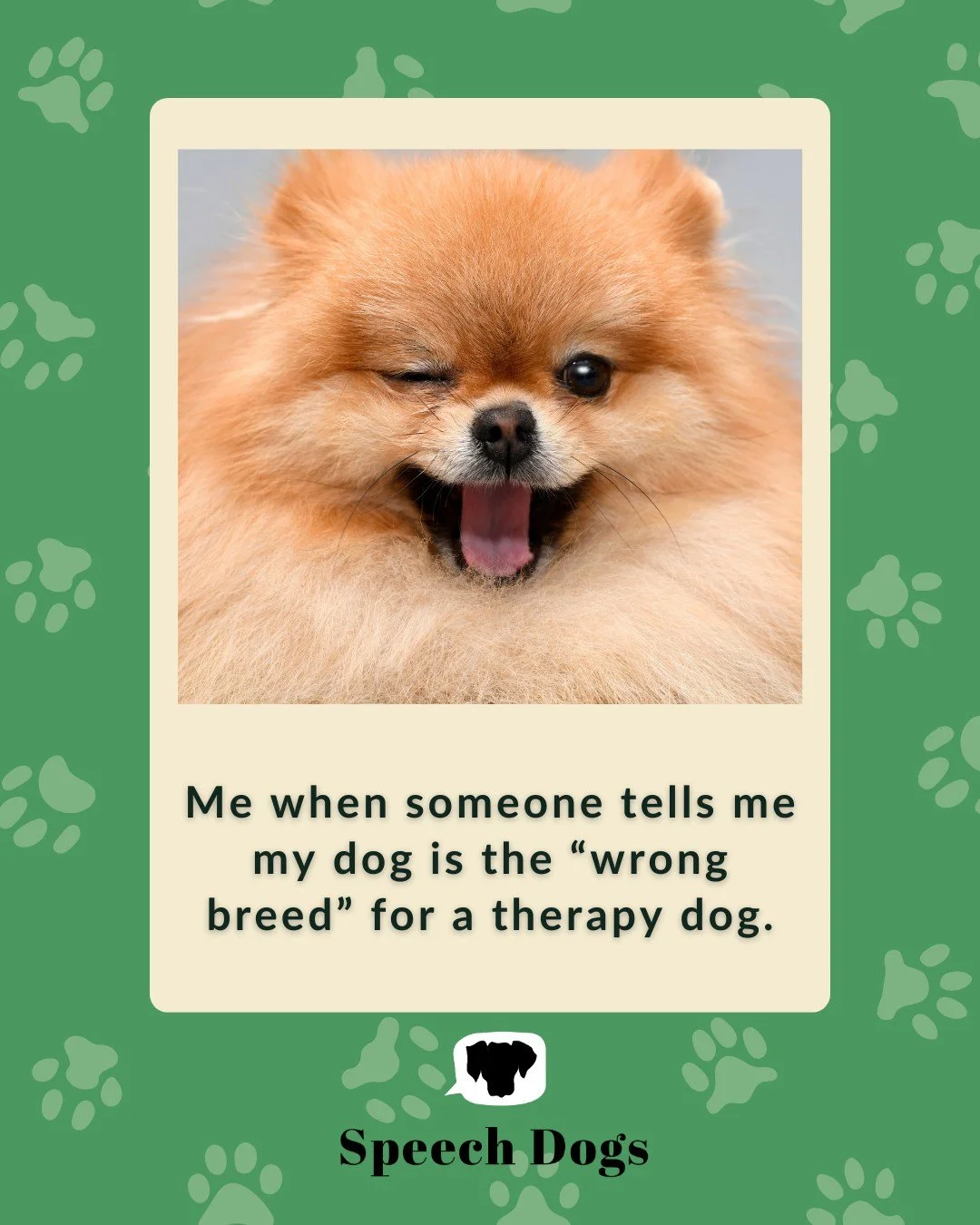 Close your eyes and imagine a therapy dog?  What breed did you picture?

Did you know not all therapy dogs are golden retrievers and labs?  In fact, many 

It takes a very special dog and handler team to integrate into therapy sessions safely AND eff