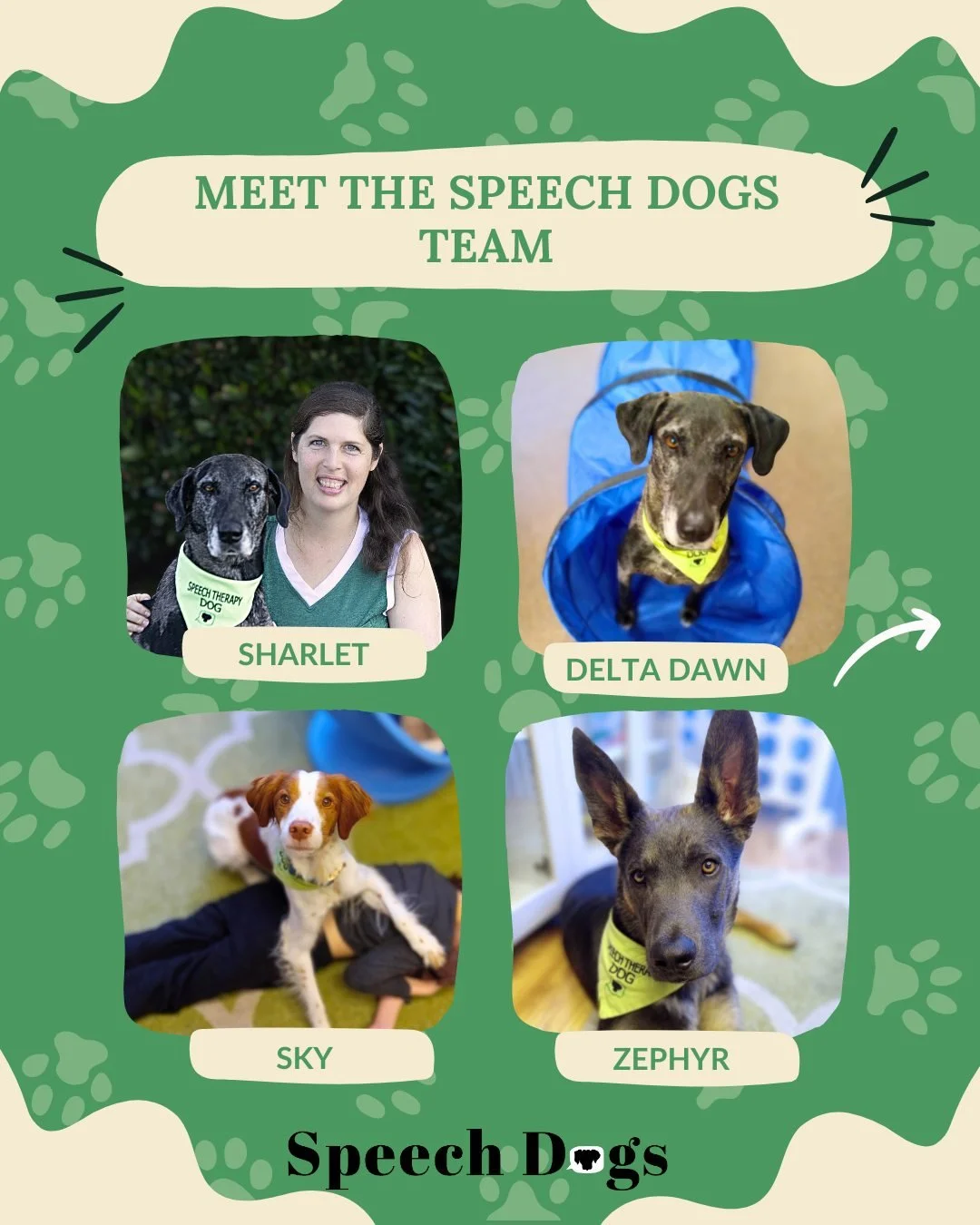 It's a new year and the Speech Dogs team has grown by a pup!  One-year-old Zephyr is joining the team, and his gradual transition to work has been going well so far.

To see how Delta and Sky helped me provide animal-assisted speech therapy in 2025, 