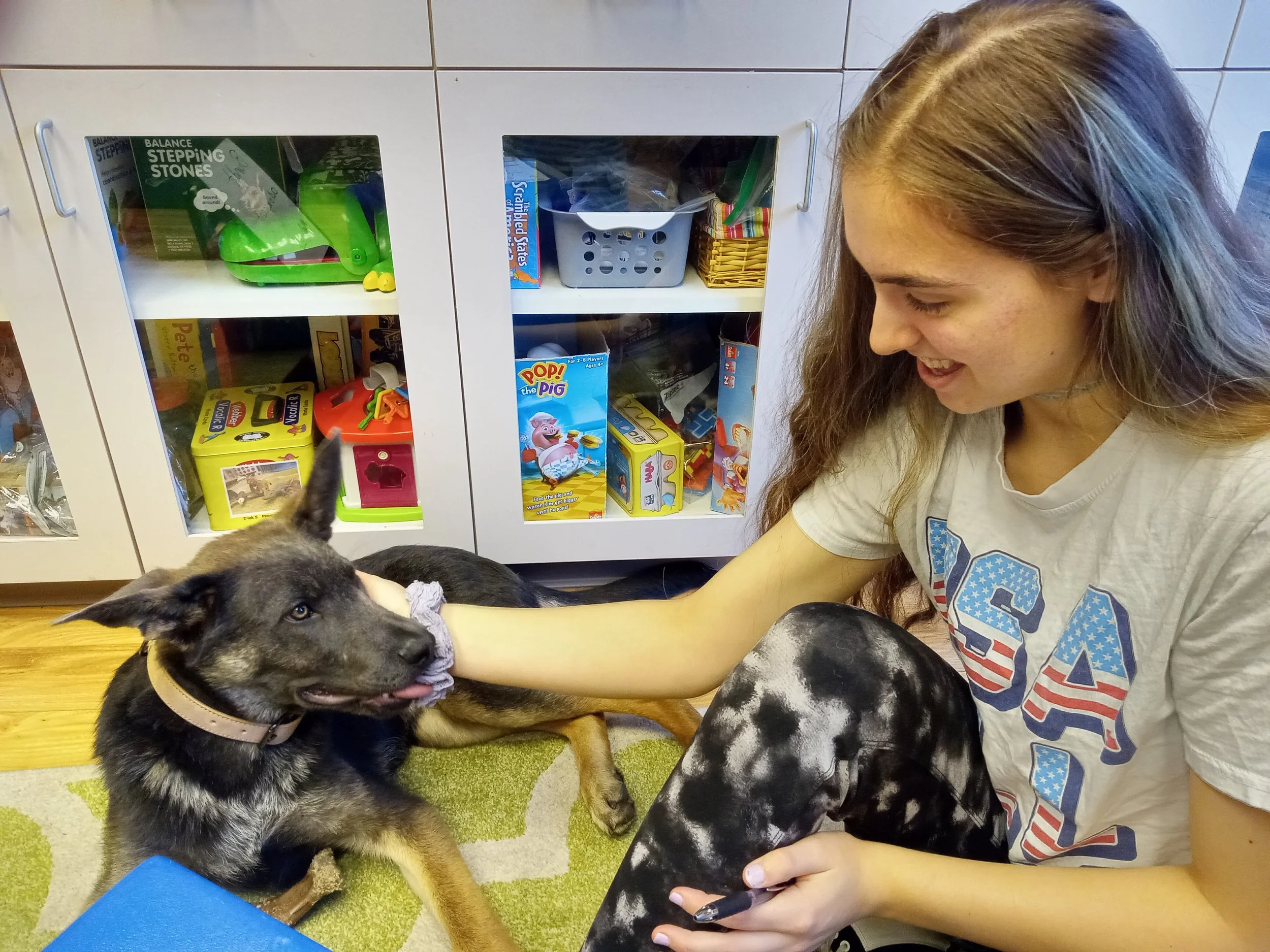 Different Dogs, Same Job: Flexibility as a Skill in Animal-Assisted Speech Therapy