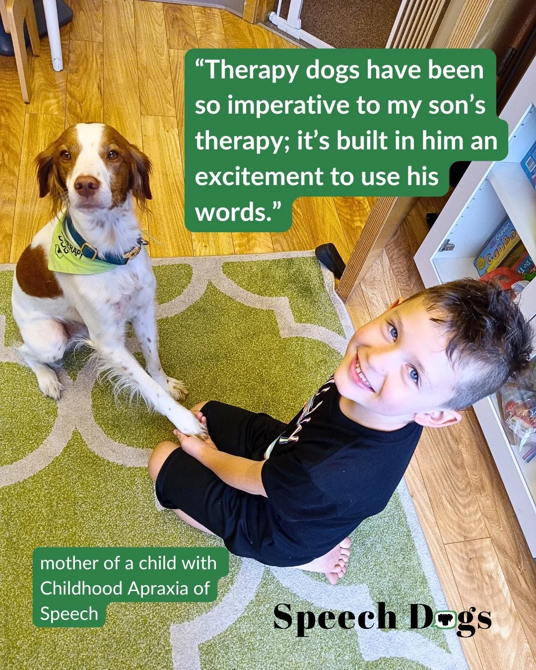 Ever wondered how to include a therapy animal in your work to improve client outcomes? 🐕&zwj;🦺 Get your FREE Roadmap to Partnering with a Speech Therapy Dog--link in bio or at www.speechdogs.com!