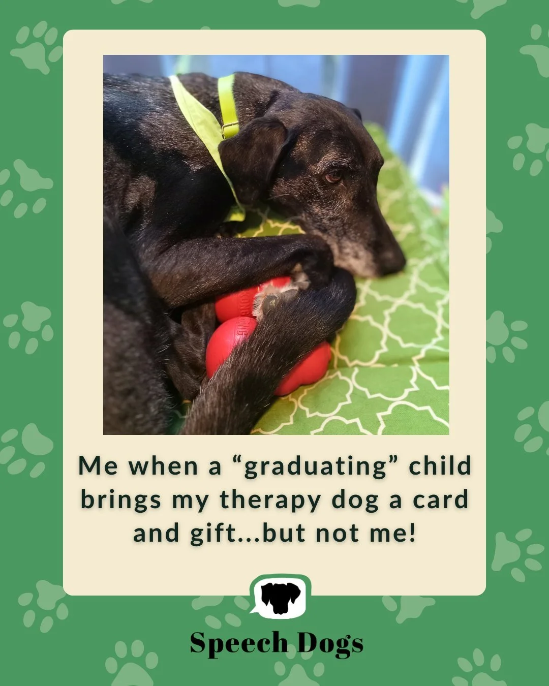 It's true, my speech therapy dogs Delta and Sky get more gifts than I do!!! 🐕&zwj;🦺 And I absolutely love that families understand how meaningful the dogs' presence in sessions is for their kids.

Wondering how a therapy dog could help you improve 