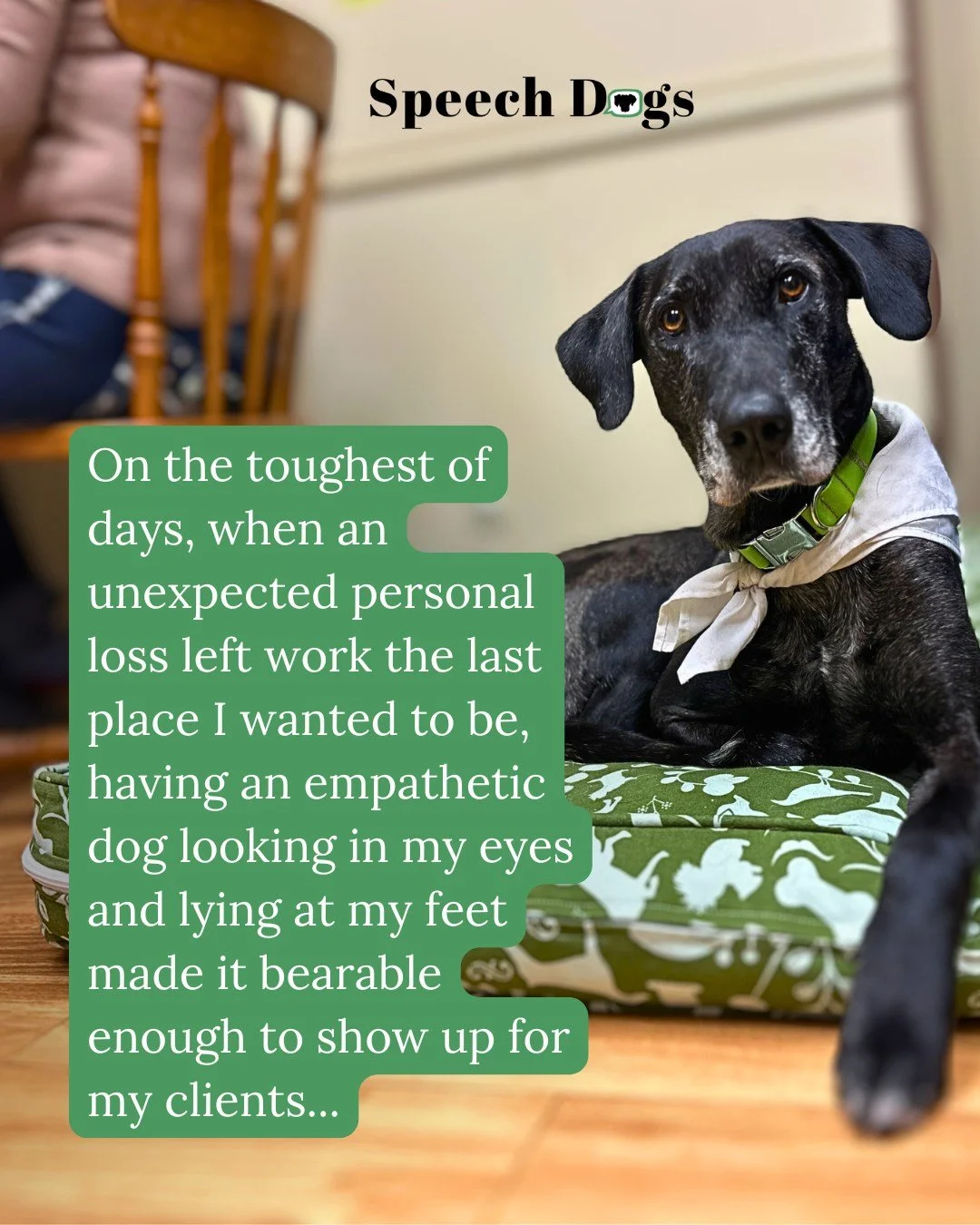 Therapy dogs are not magic. They will not fix every speech therapy challenge you face. And they will bring added responsibilities to your work. 

But given all the ways they help me be a better Speech-Language Pathologist, I wouldn&rsquo;t trade the 