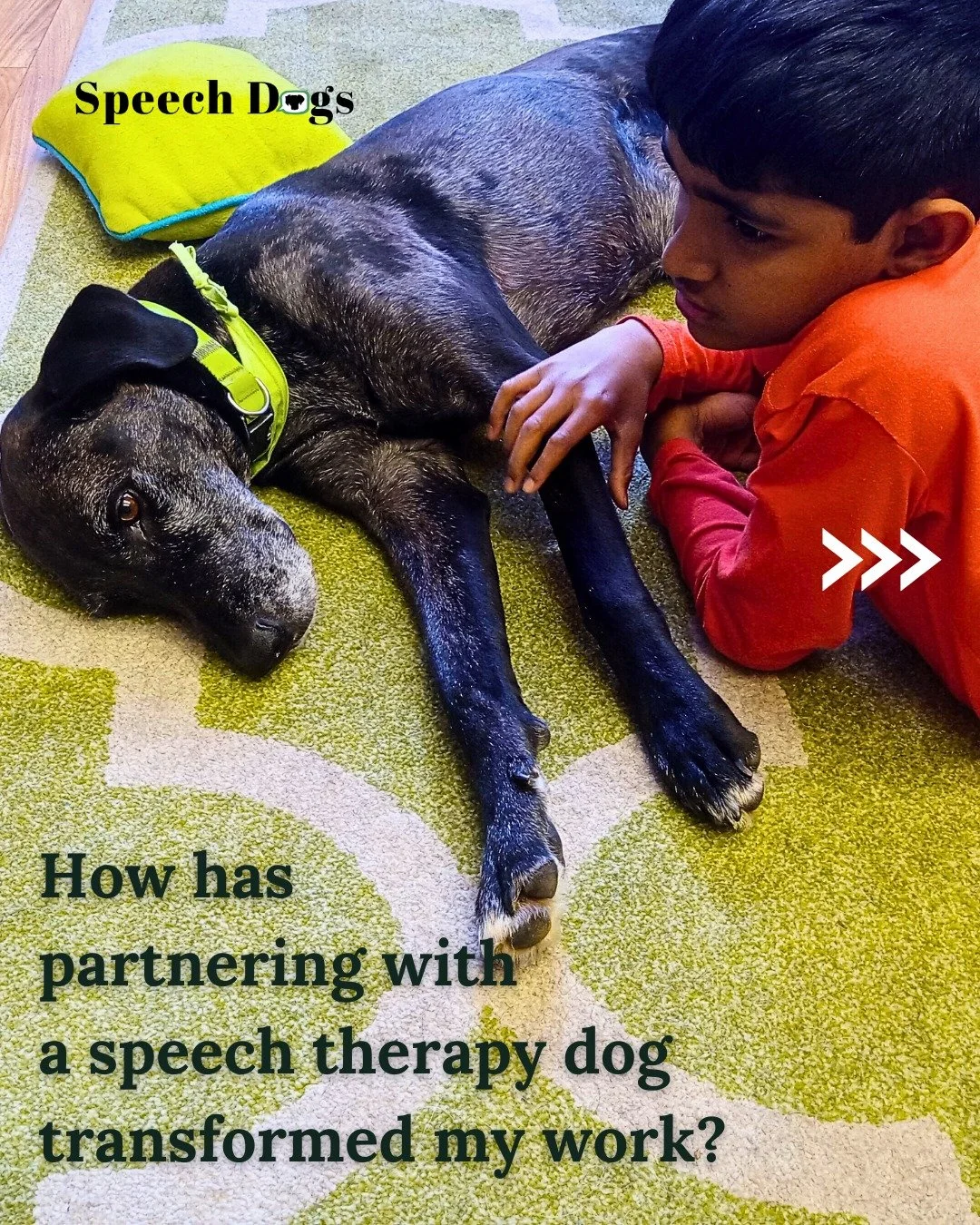 "Mindfulness" is a popular word these days, but I didn&rsquo;t really understand how it applied to a job until I started to reflect on how my speech therapy dogs improved my work day...

🐕&zwj;🦺Seeing Delta rest her head on a child&rsquo;