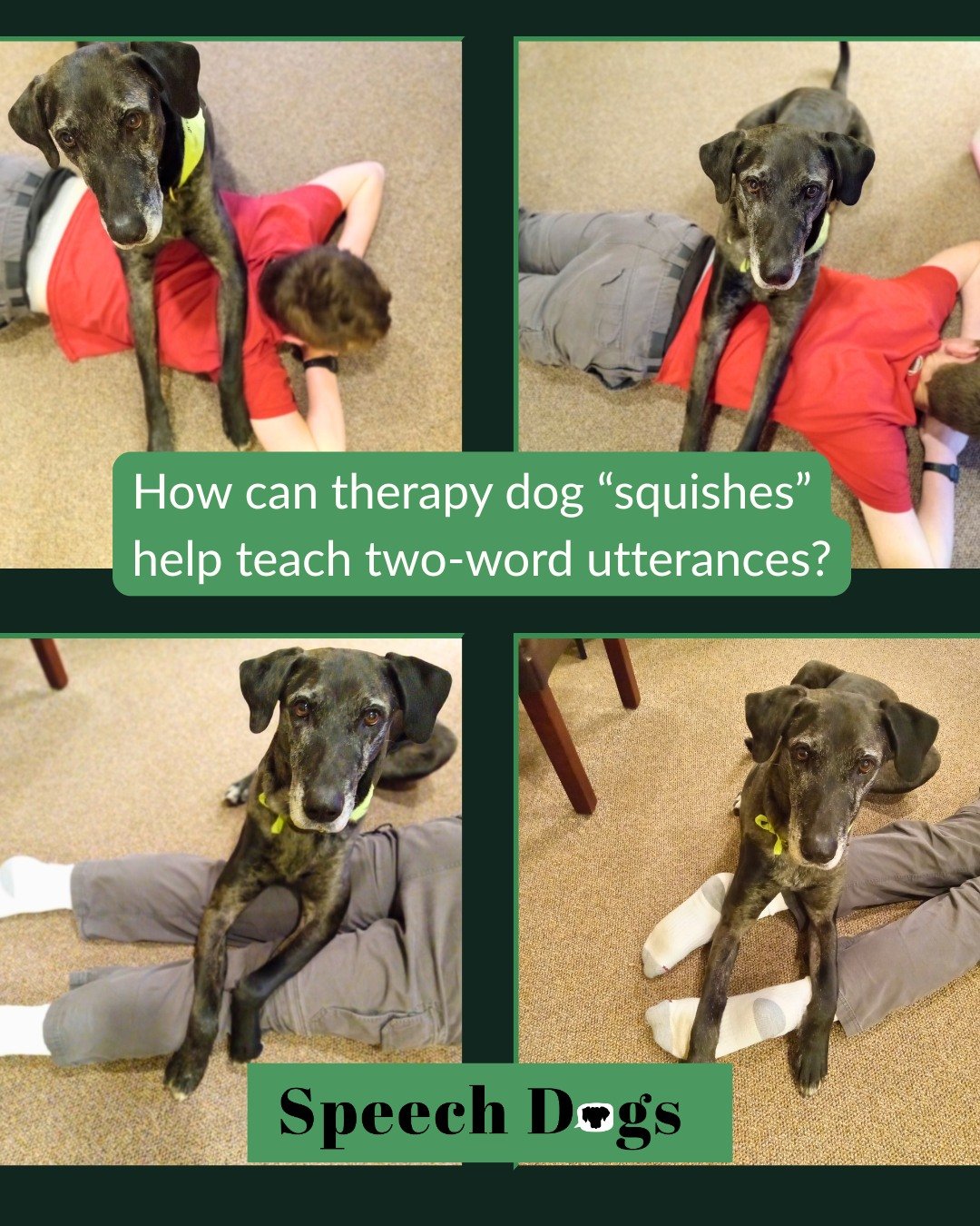 Deep pressure input from a therapy dog can be very calming for some kids who struggle to regulate their sensory system.🐕&zwj;🦺

Here, Delta is responding to this boy's requests to "squish shoulders", "squish back", "squish 