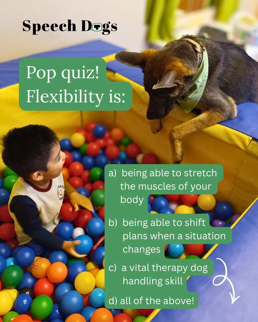 Answer:  All of the above!!!

As someone who can tend towards rigid thinking patterns myself and also works with neurodivergent clientele who can do so as well, staying flexible and considering changes to my approach to animal-assisted therapy is an 