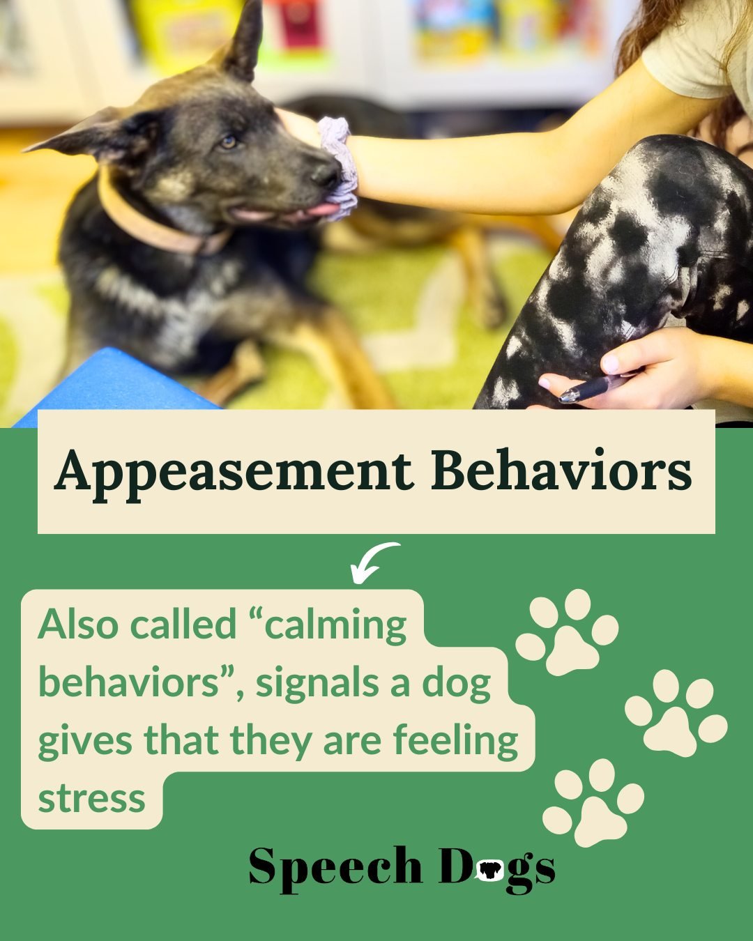 Here young Zephyr is giving a quick flick of his tongue and lowering his ears submissively to show he's not quite sure about the situation. 

It was his first short day at work, and everything was new. 

Fortunately I was able to change up the situat