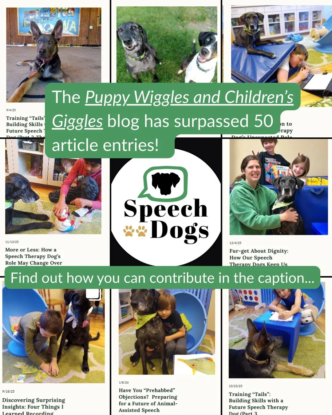 How do you process what you learn? For me, it's writing! ✍️

Even so, I was shocked to discover that I've already published 53 full length blog articles about my experiences as an animal-assisted speech therapist, with several more in various stages 