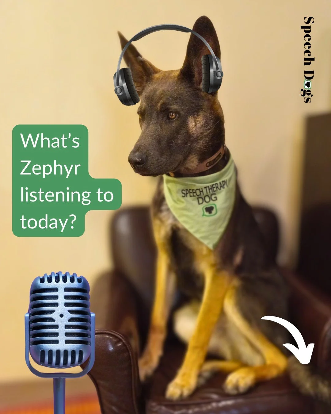 He's discovering his "origin story": how and why Speech Dogs started! 

On the latest ScaleSmart podcast from @cuedcreative, I chat with @thehannahboeck about not only why I started partnering with therapy dogs to provide animal-assisted sp
