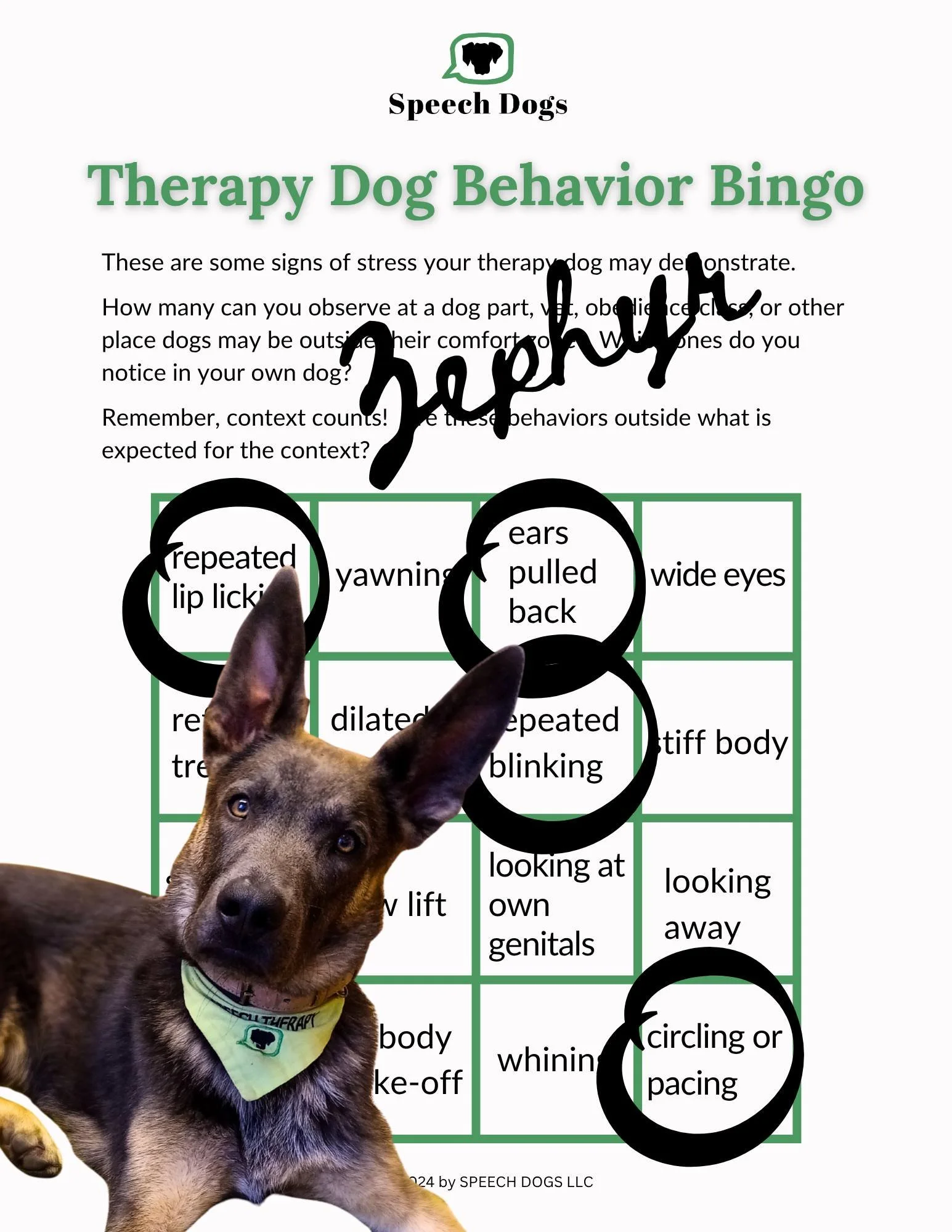 Want to improve how well you interpret what your therapy dog is telling you?  Gamify it with a FREE Therapy Dog Behavior Bingo card, complete with instructions for how to play!

✨Link in bio!✨
