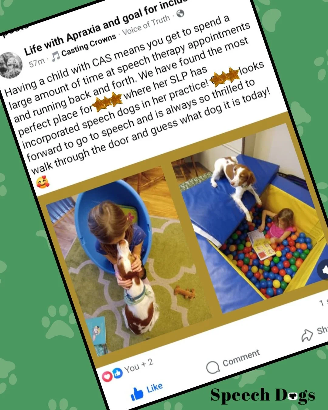 Testimonials like this always make me smile. Because the truth is, sometimes I worry that the purpose of my dog's presence isn't always obvious...
The reality is, there are sessions when I am blown away by how much my therapy dog brings to a session: