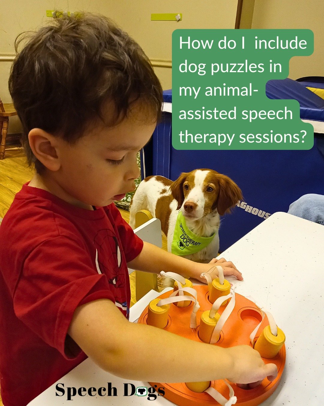 Anyone else love a good multi-tasker?

This simple toy has quickly become a favorite not only for general engagement, but also:

🐕&zwj;🦺to elicit asking and answering where questions,

🐕&zwj;🦺applying articulation skills after structured practice
