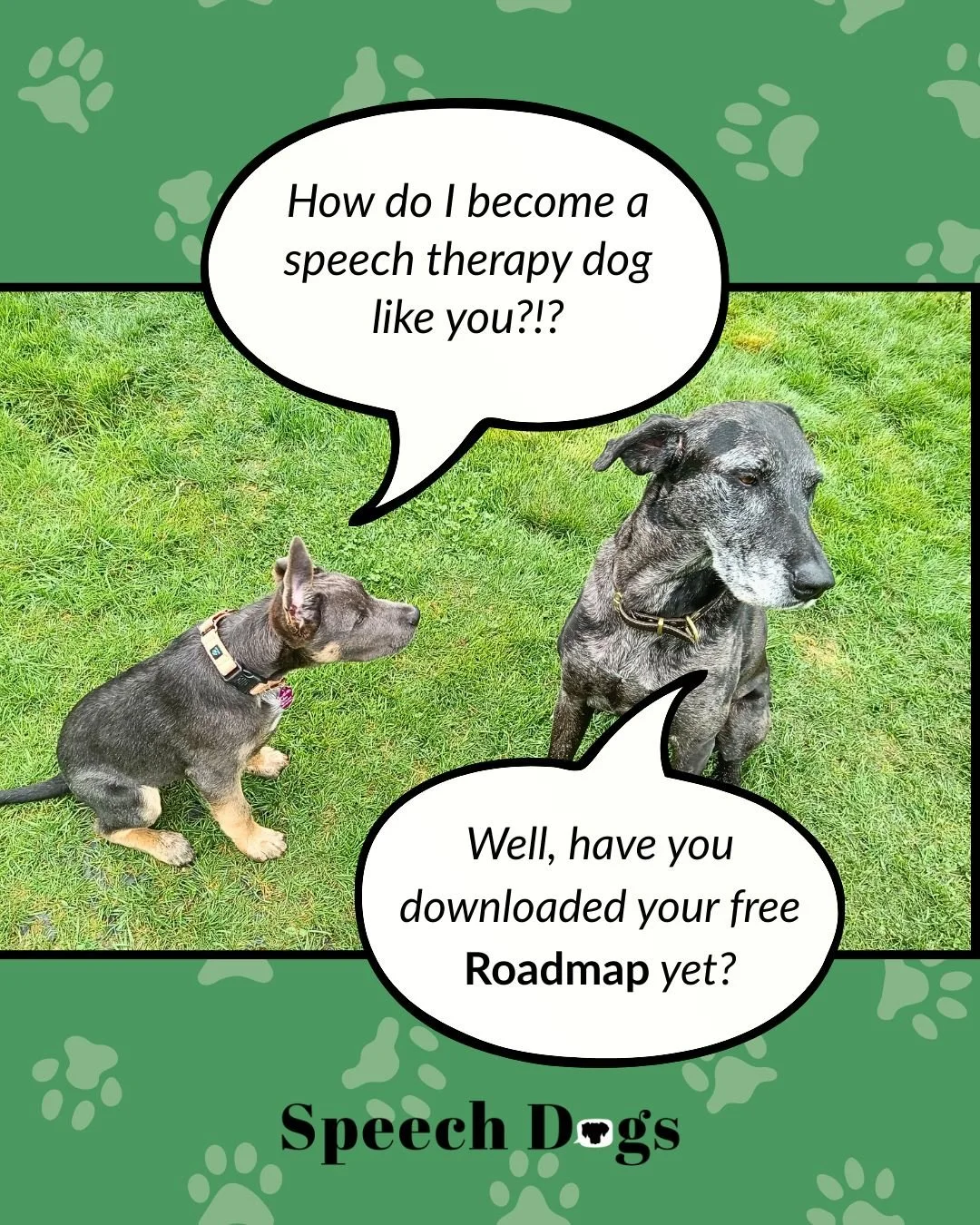 Hard to believe this was Zephyr at this time just last year!💕 

He followed the FREE 11-page Roadmap to Partnering with a Speech Therapy Dog (with a little help from me, of course) and now he's an official canine co-therapist! 

And you can do it to