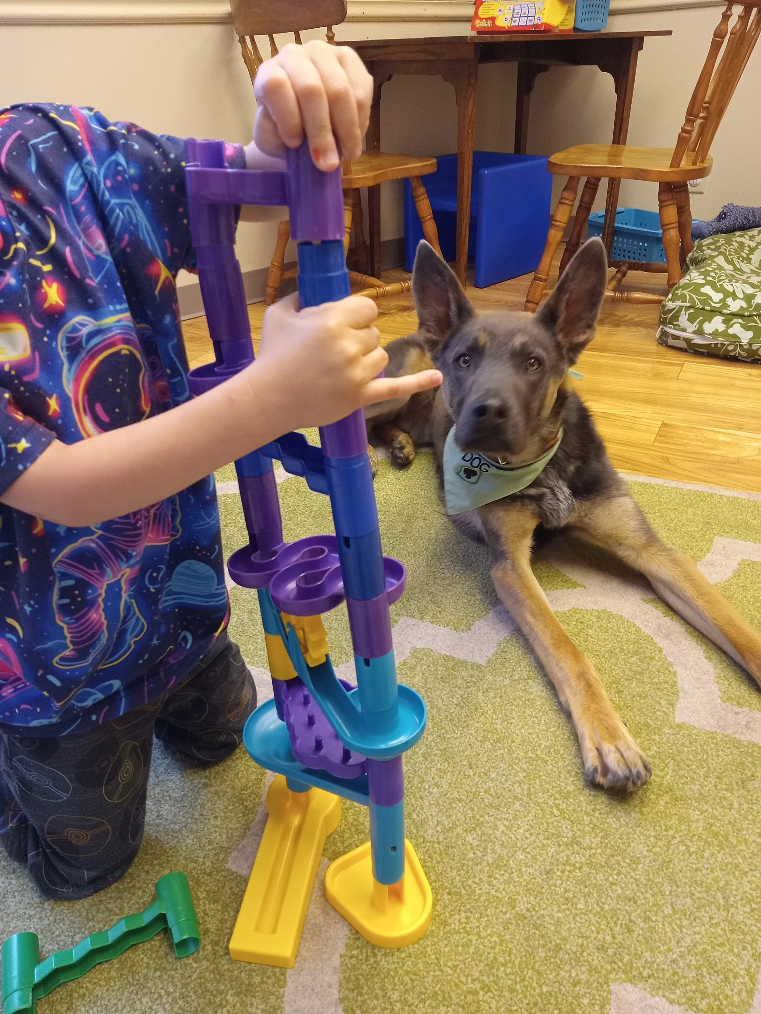 Listening to Zephyr: Building Social Cognition Through Animal-Assisted Speech Therapy