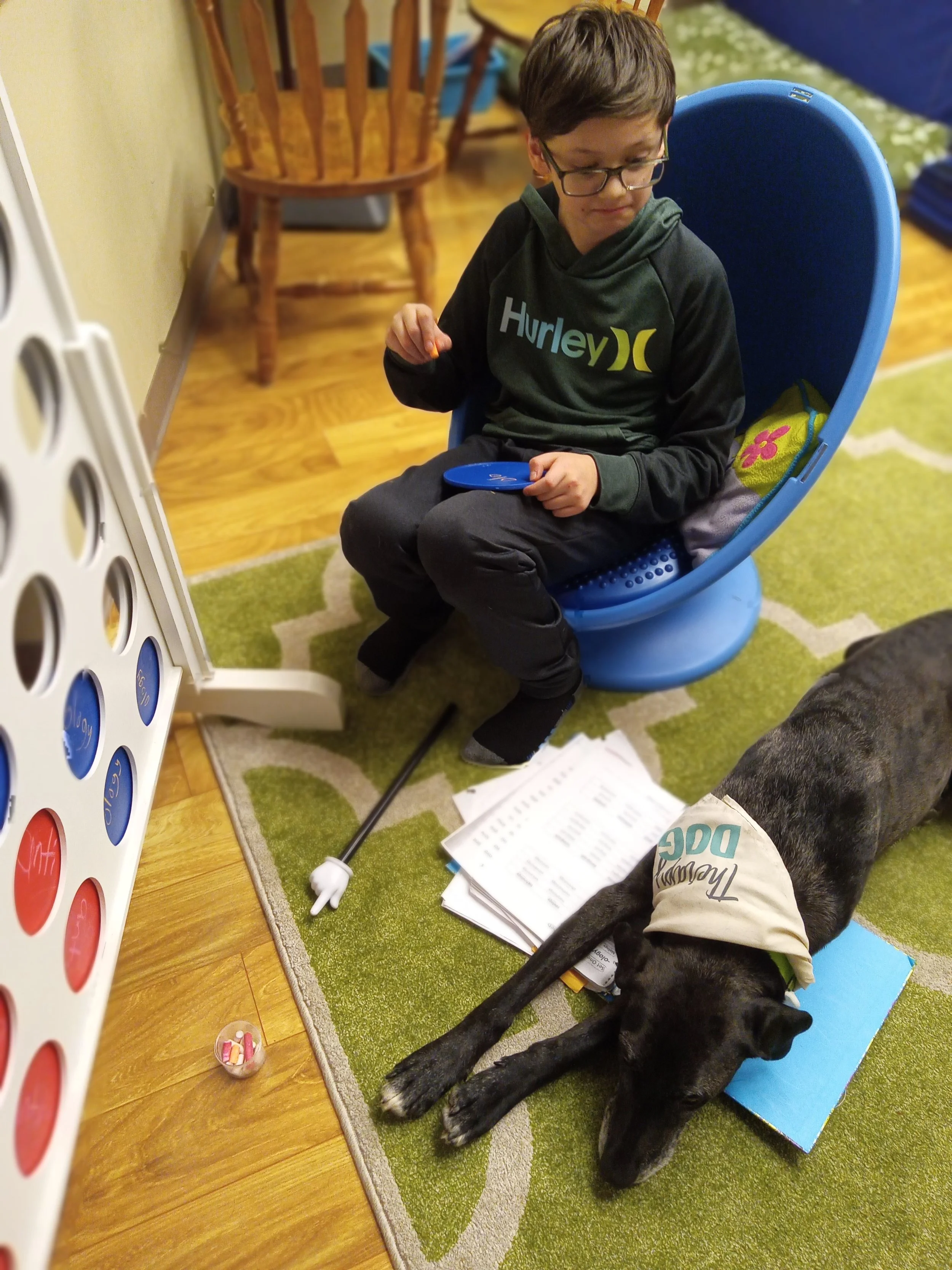 Speech therapy dog Delta lies on child's materials during animal-assisted speech therapy (dog AAI).