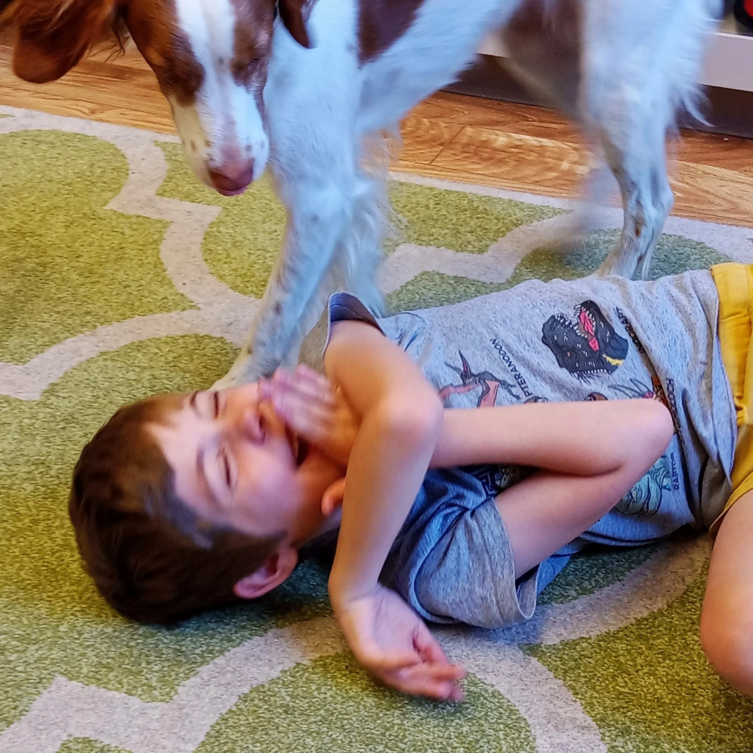 Speech therapy dog Sky plays with child in animal-assisted speech therapy (AAT),