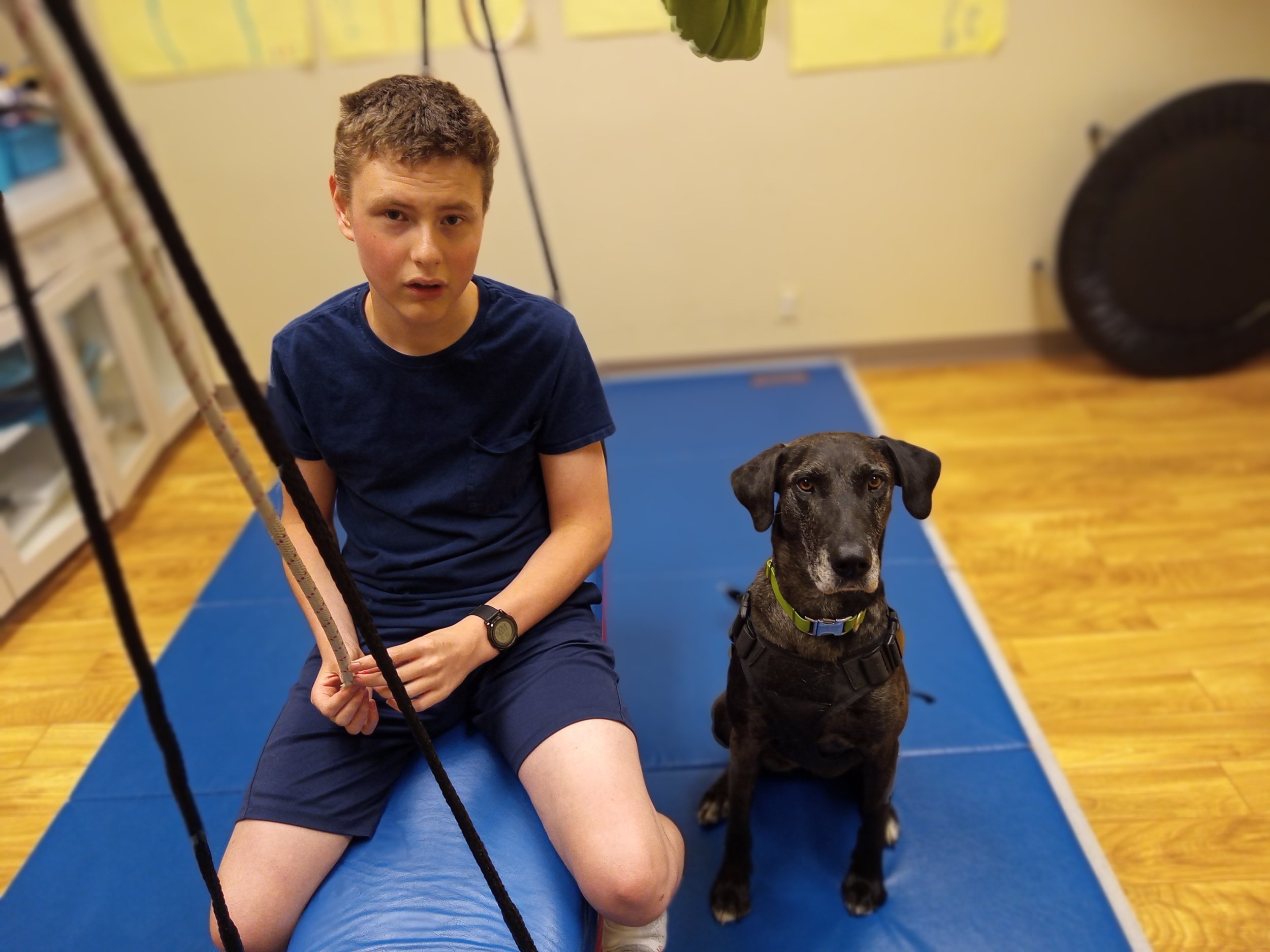 Speech therapy dog Delta enjoys participating in animal-assisted speech therapy (dog AAI).