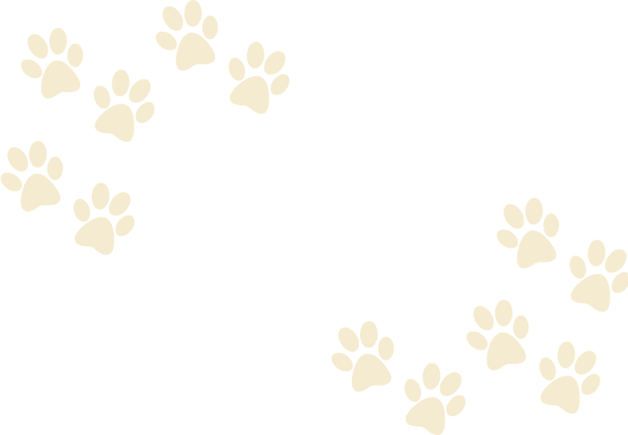 Resources Speech Dogs Animal Assisted Speech Therapy Therapy Dog resources-speech-dogs-animal-assisted-speech-therapy-therapy-dog