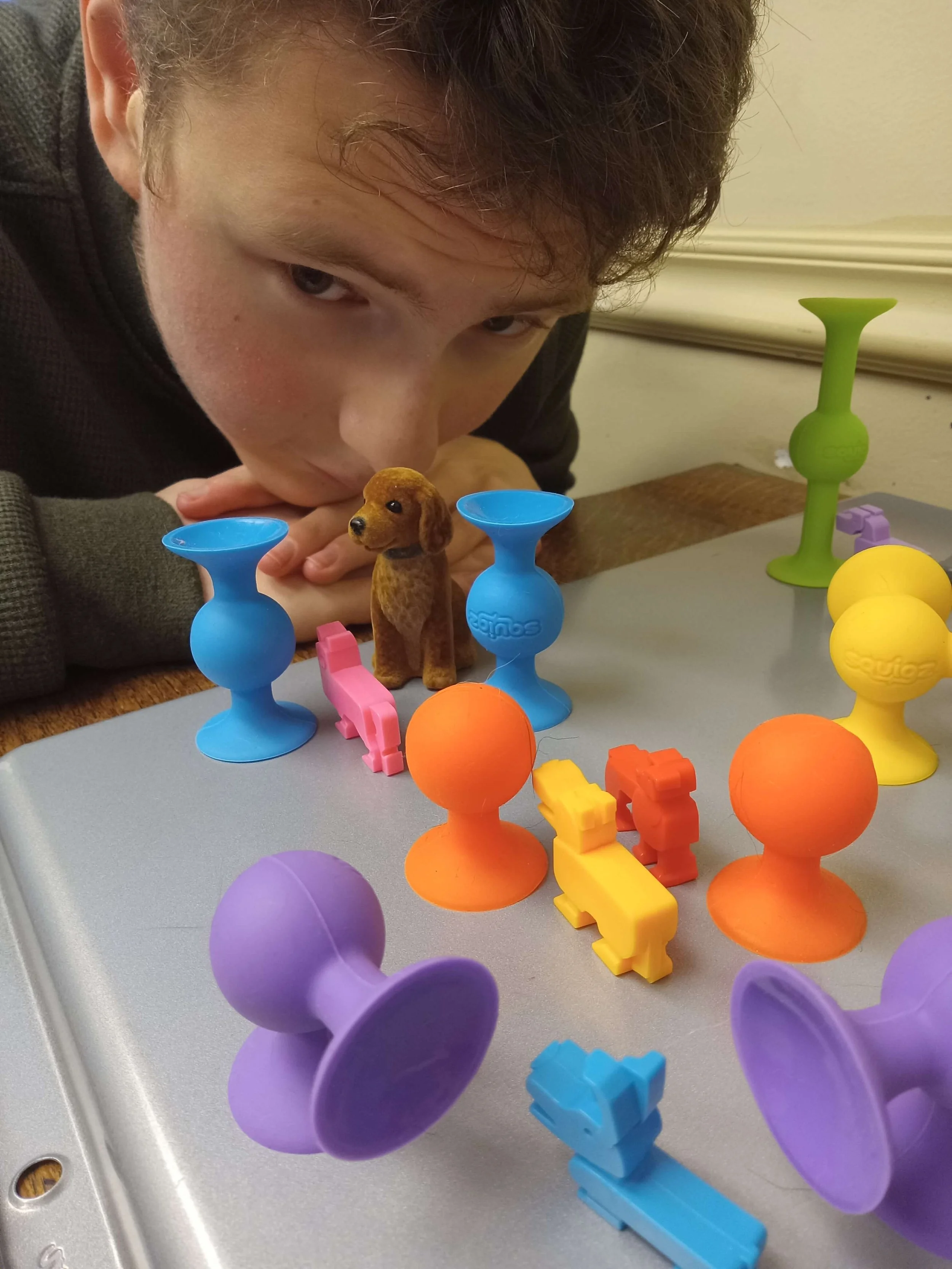 Speech therapy supplies to supplement animal-assisted speech therapy.