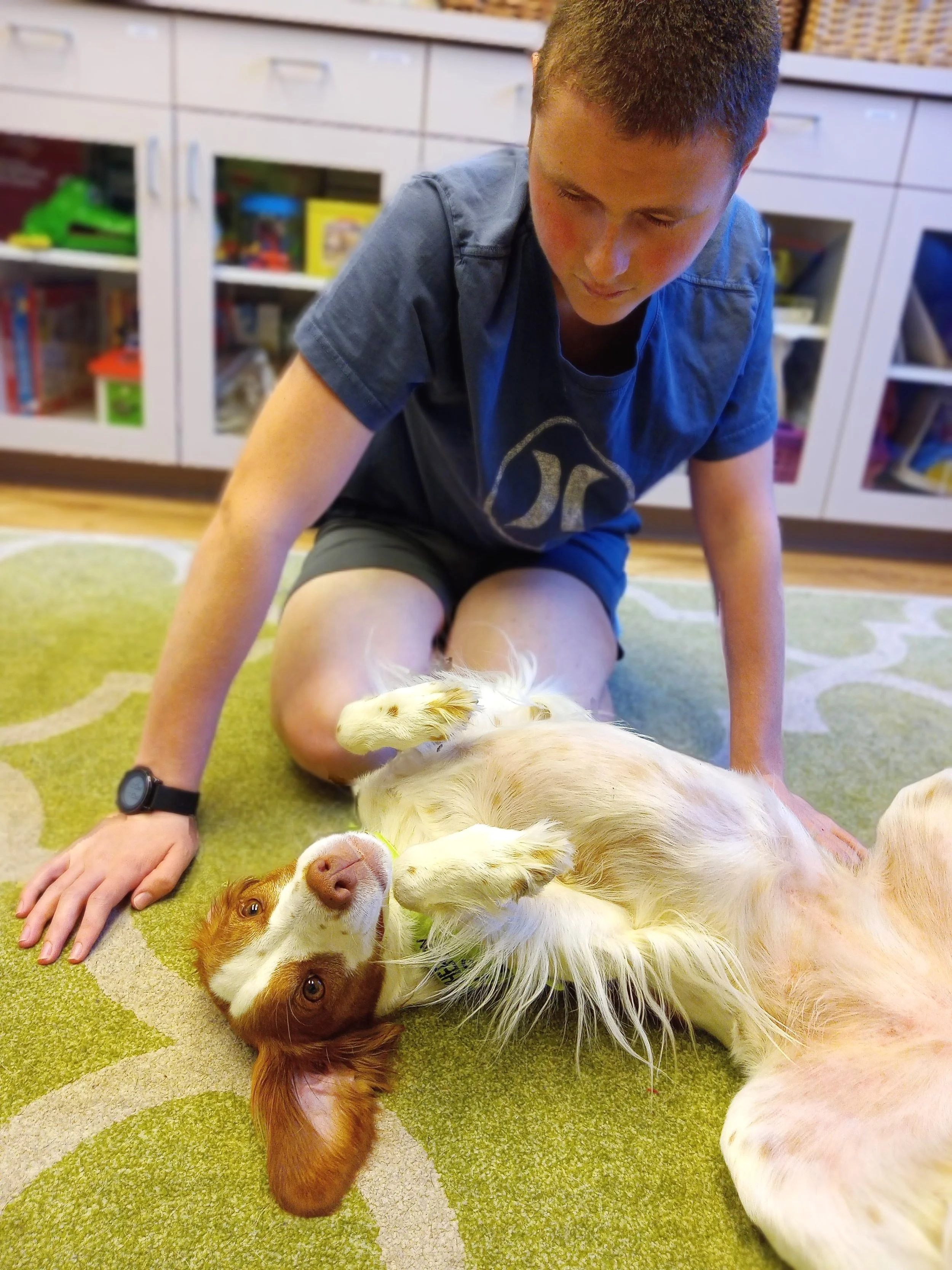 Speech therapy dog Sky with new friend at animal-assisted speech therapy (dog AAI).