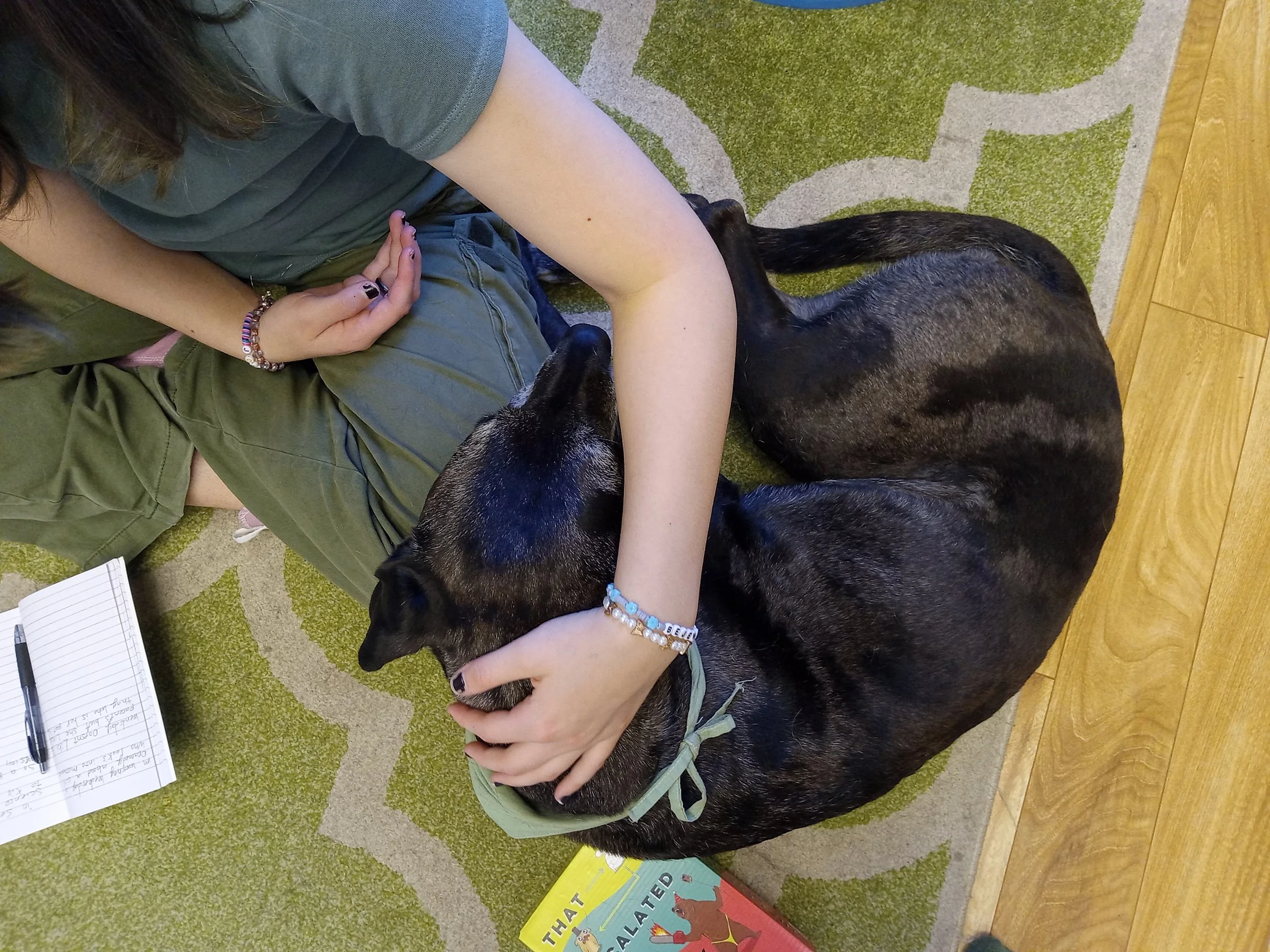 Speech therapy dog Delta leans on child while working on floor.