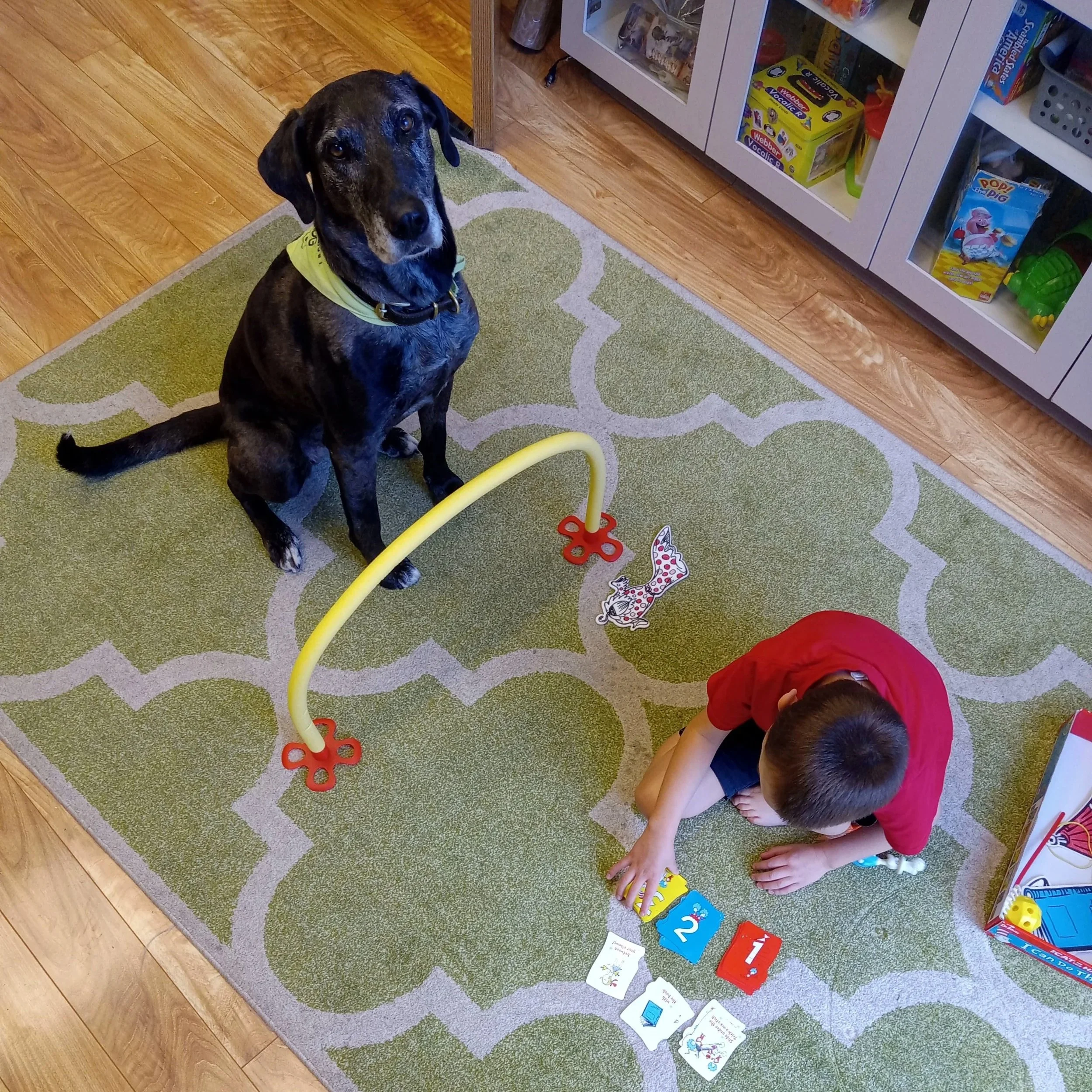 Animal-assisted speech therapy session with active therapy dog involvement.
