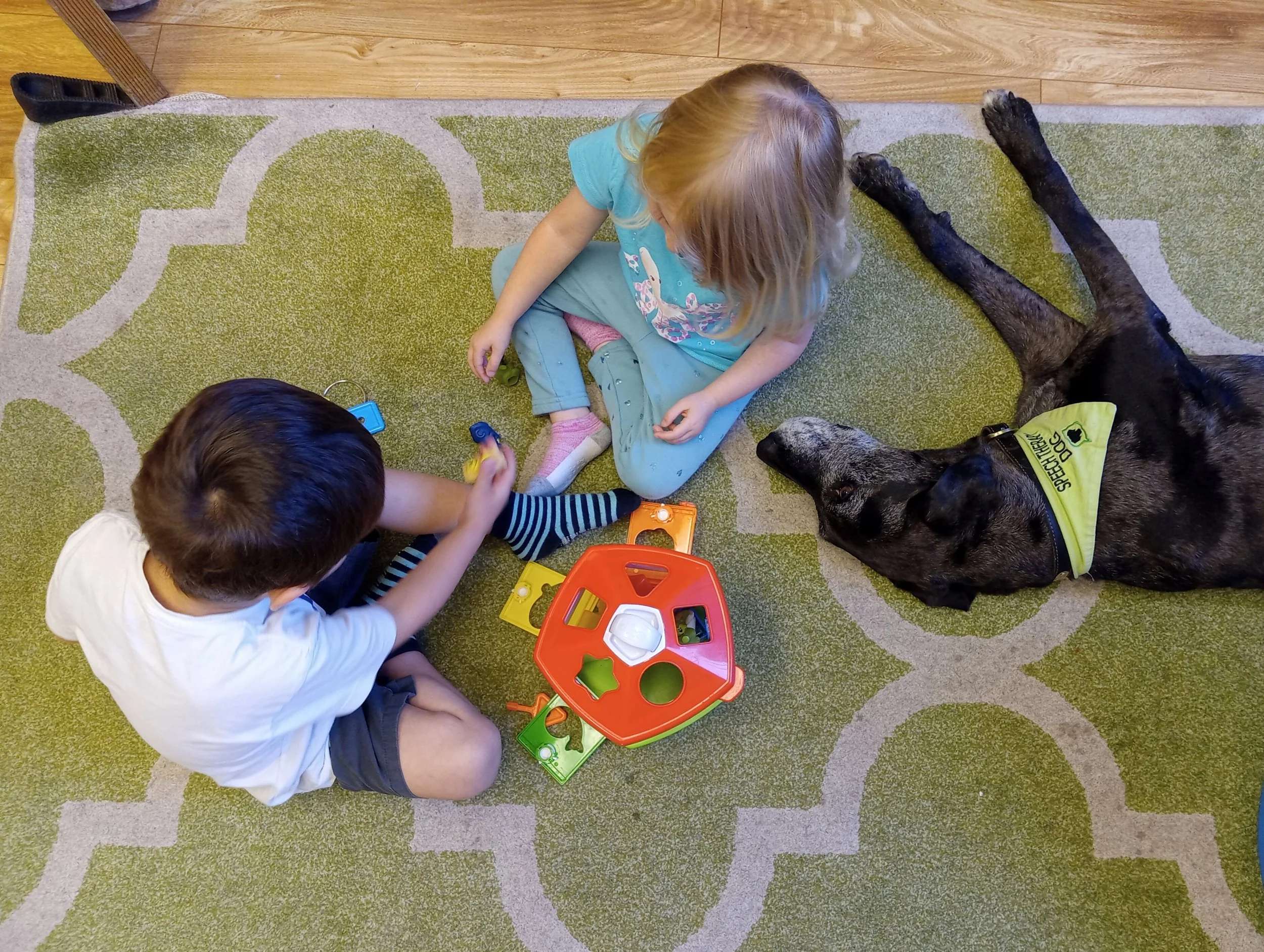Speech therapy dog Delta lies next to toddler language group.