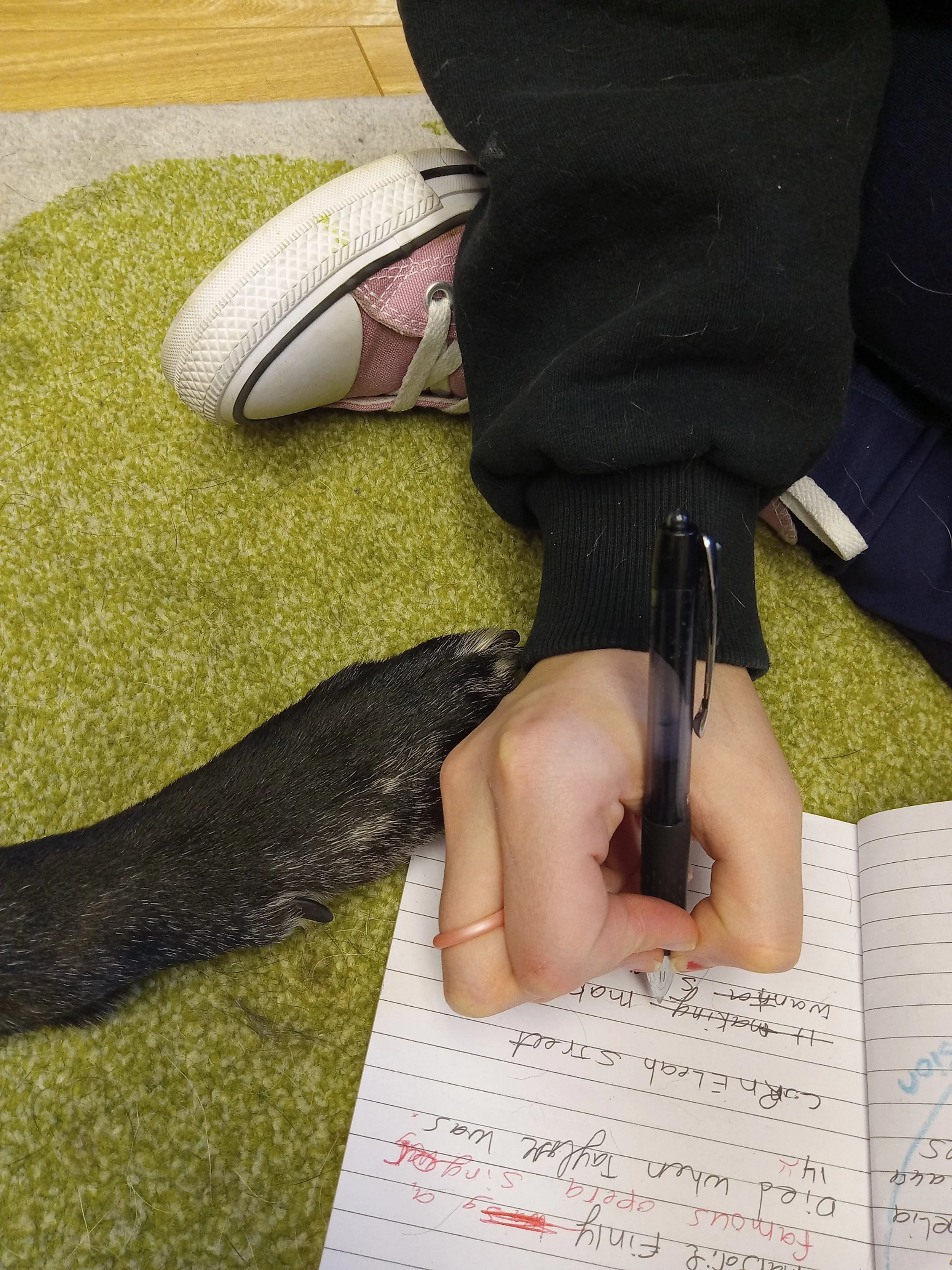 Reading therapy dog touches child's hand during literacy activity.