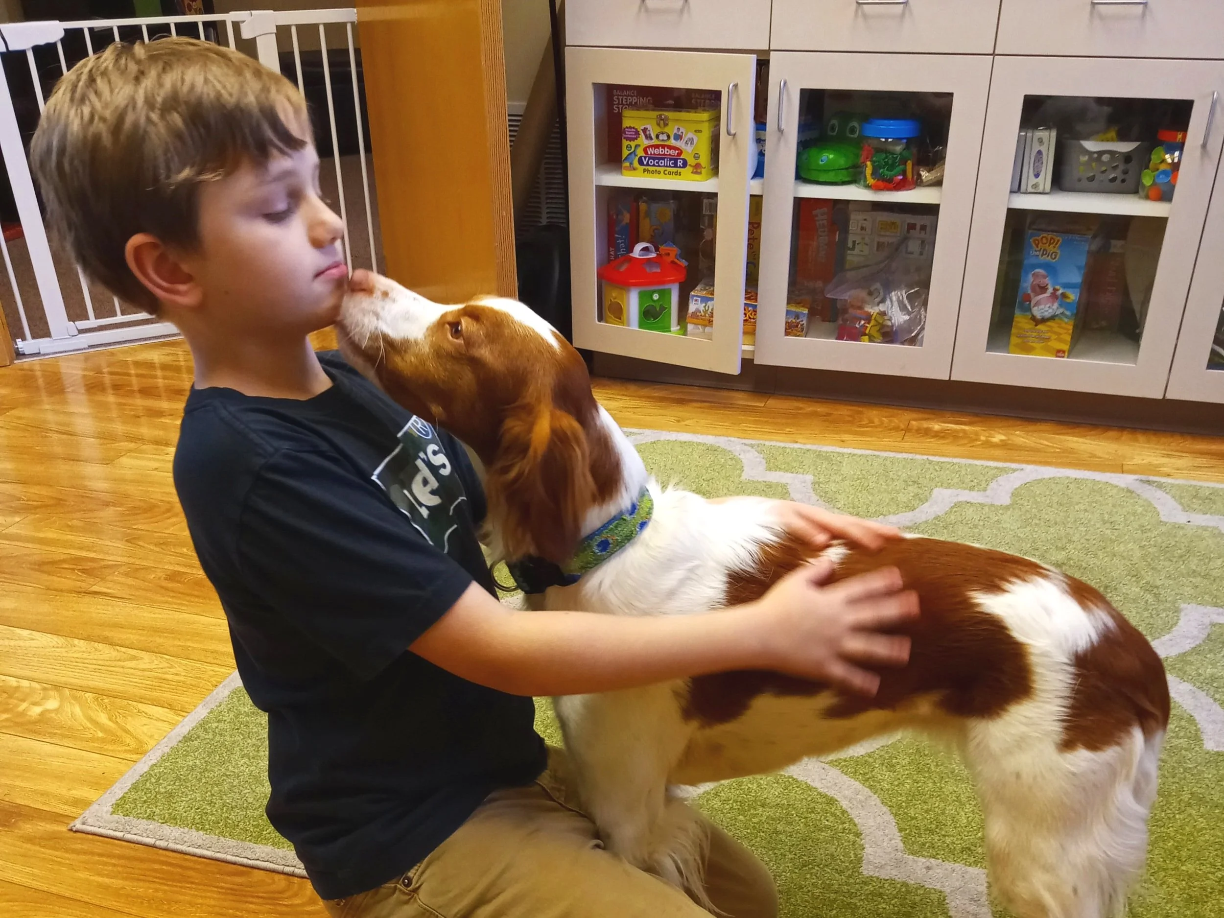 Speech therapy dog Sky kisses child in animal-assisted speech therapy (dog AAI).
