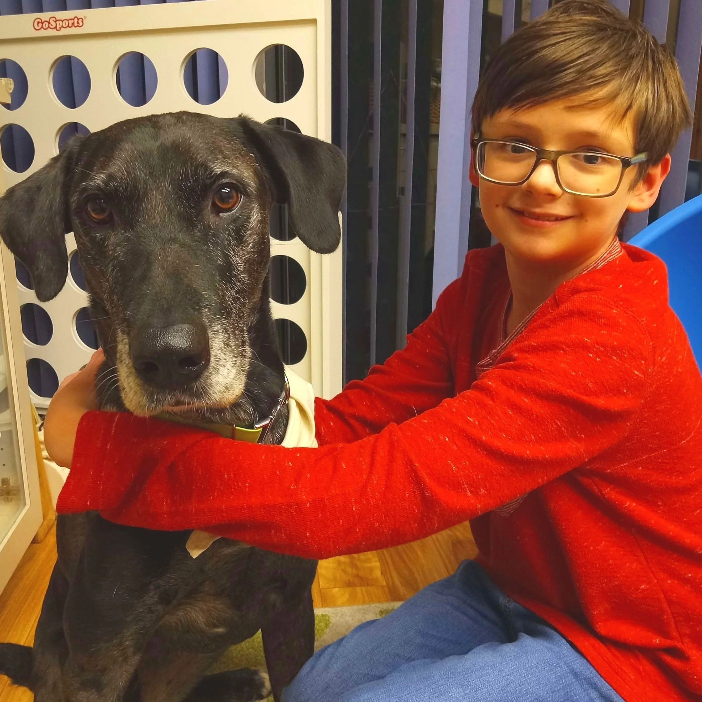 Speech Dogs | Animal-Assisted speech therapy | Education & Resources